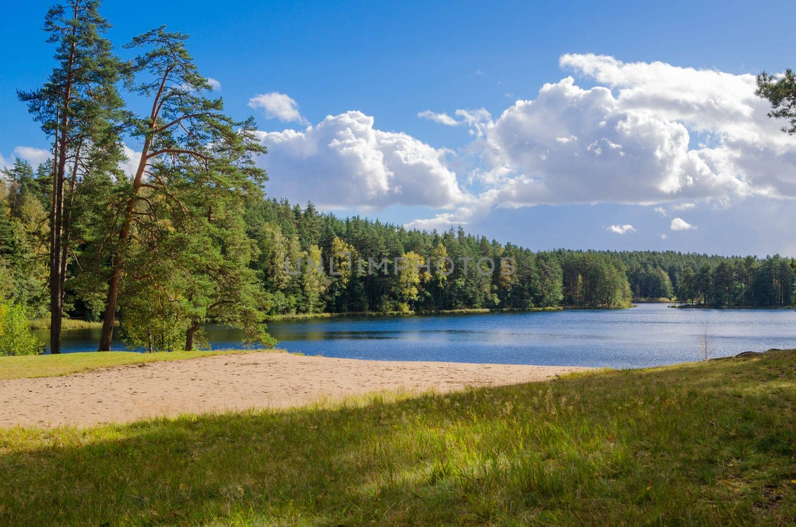Colorful autumn landscape in the forest lake, Estonia
