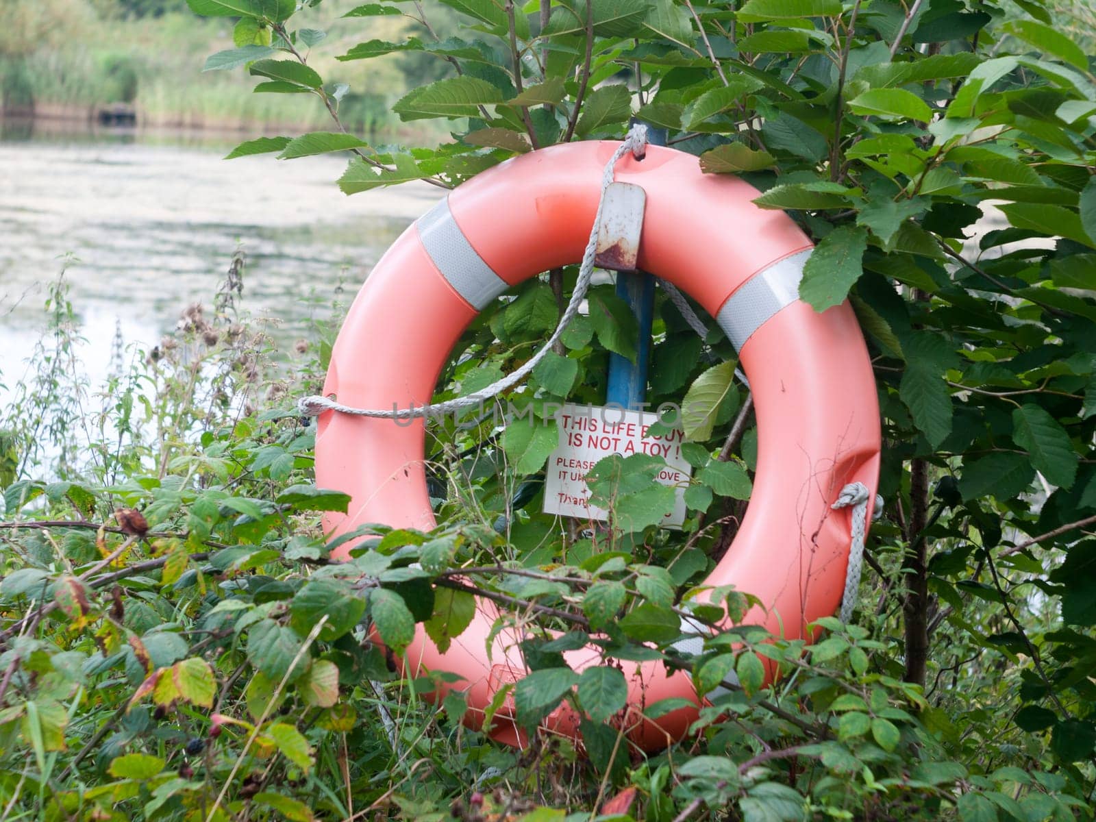 life buoy safety ring orange red edge of lake for drowning  Essex  England  UK