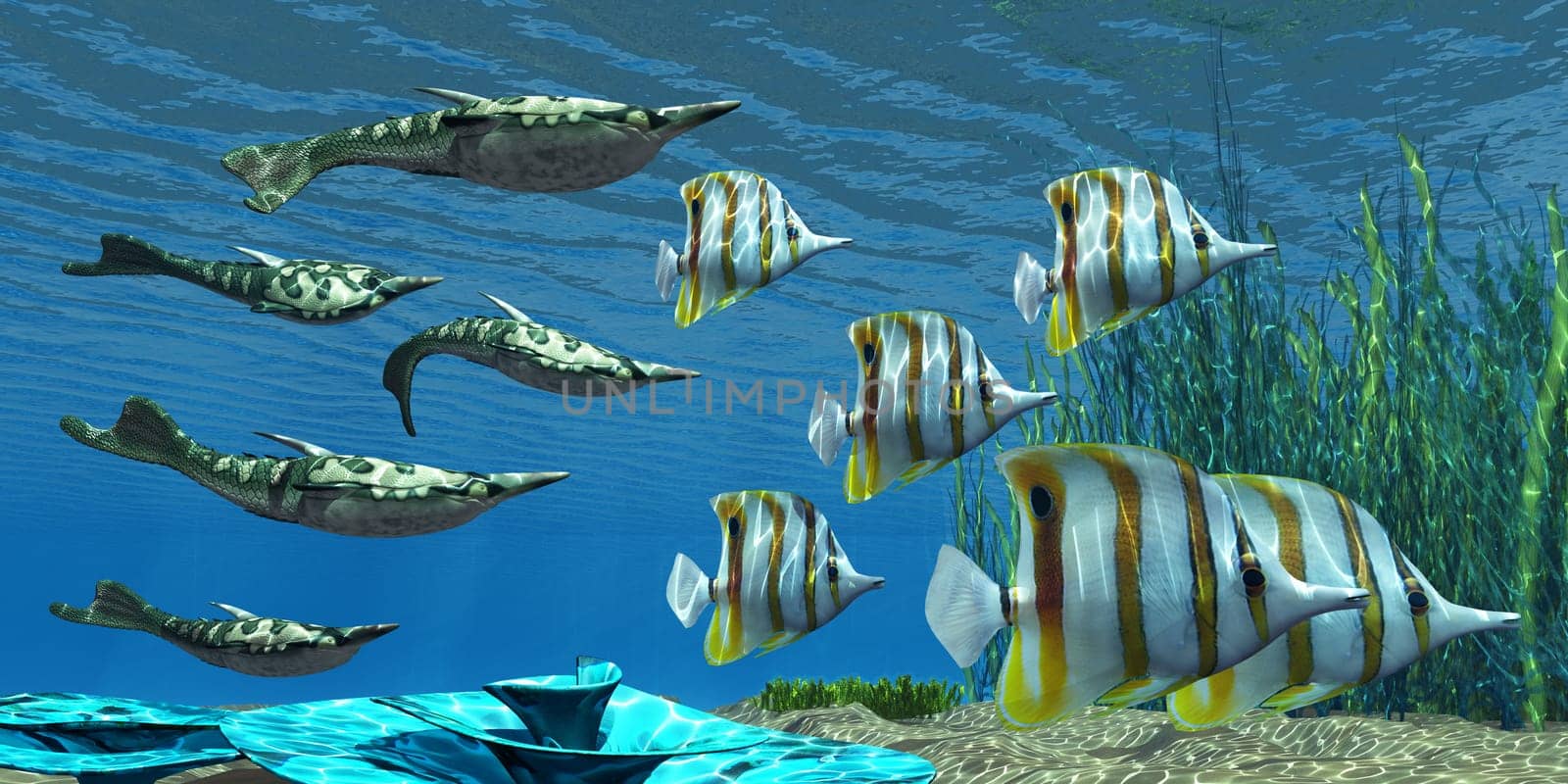 Pteraspis is an extinct genus of jawless ocean fish that lived in the Devonian period. Here they swim with a school of Chelmon Butterflyfish.