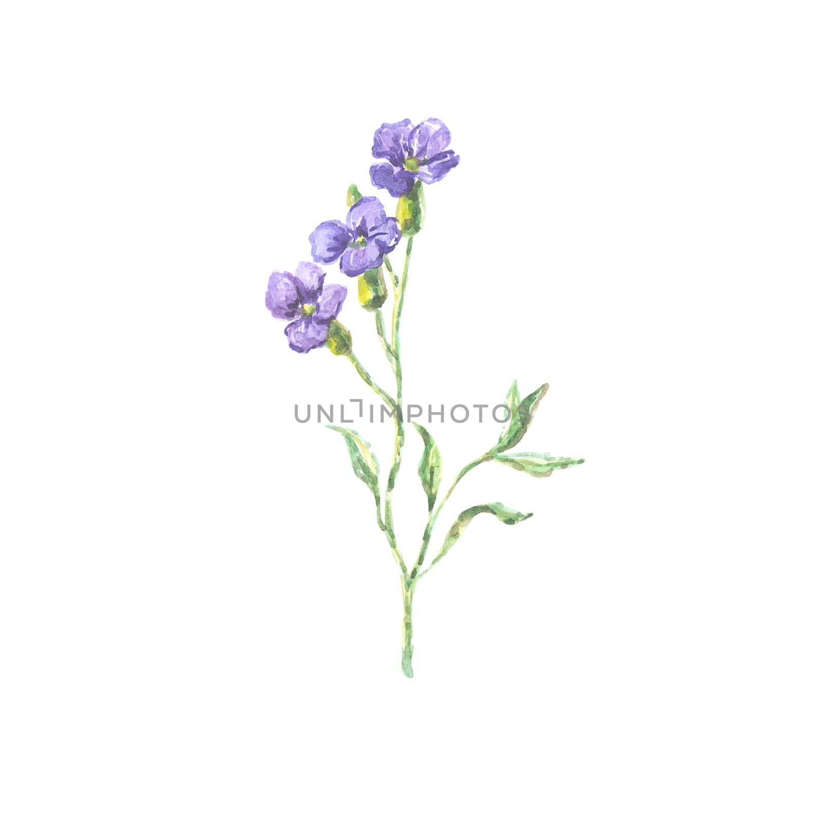Bright watercolor flower with leaf isolated on easy for cut white background