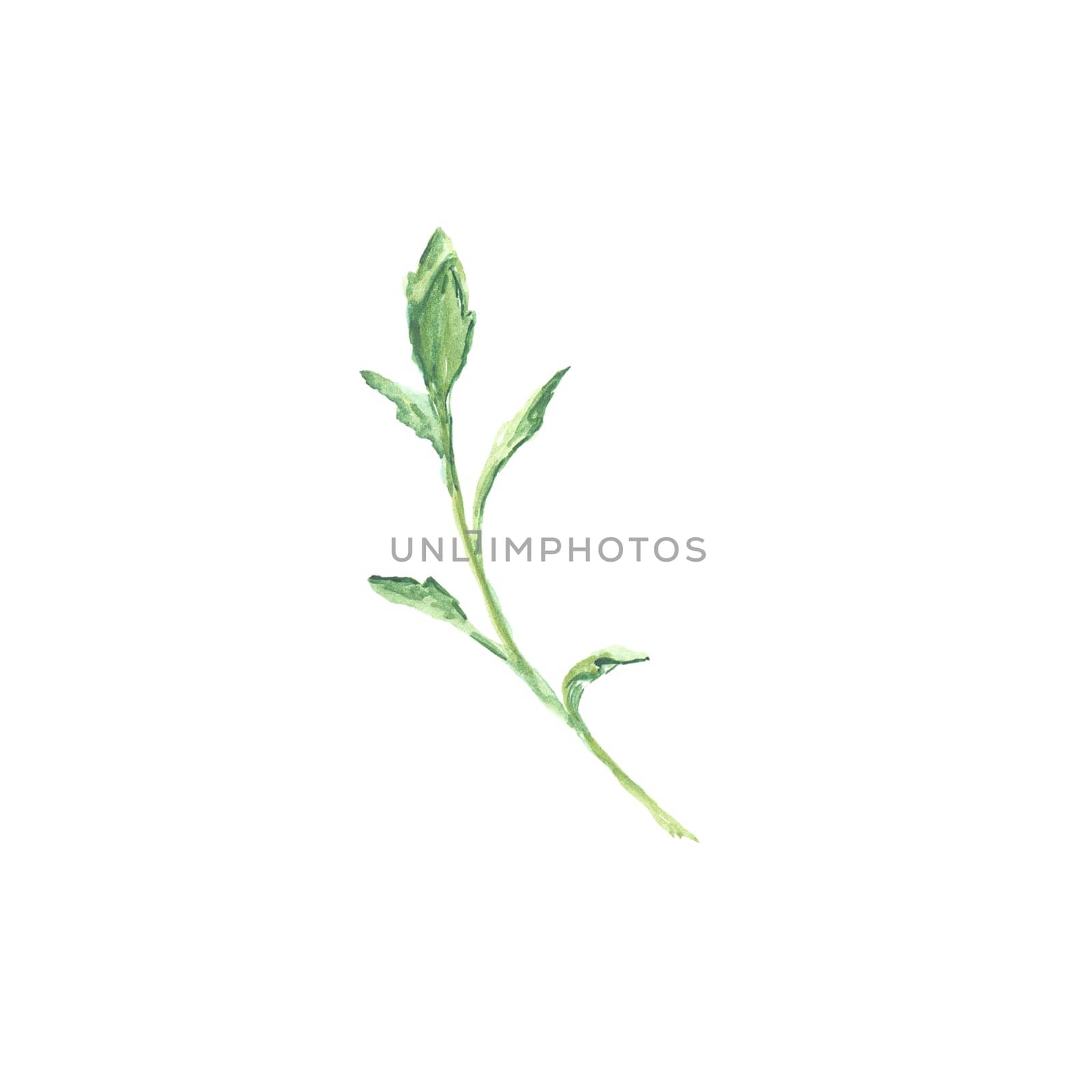 Bright watercolor leaf isolated on easy for cut white background