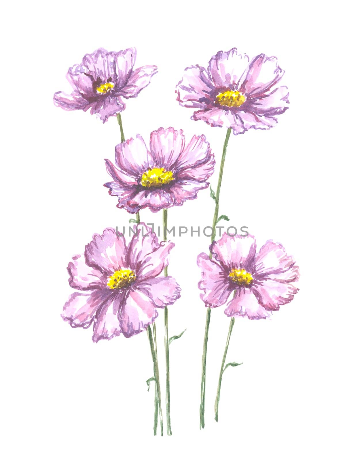 Bright watercolor flower with leaf isolated on easy for cut white background
