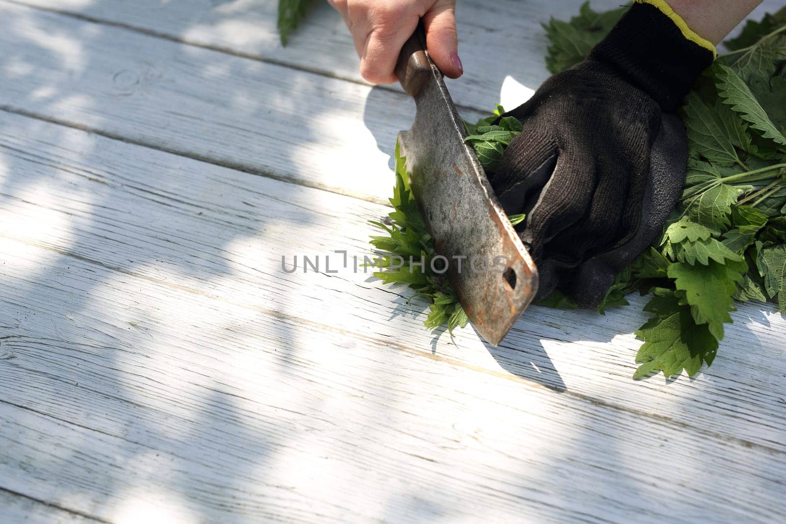 Woman chopping nettle leaves.