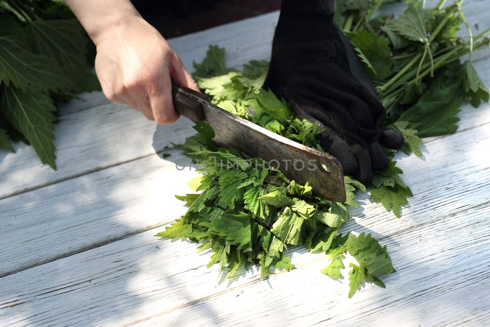 Woman chopping nettle leaves.
