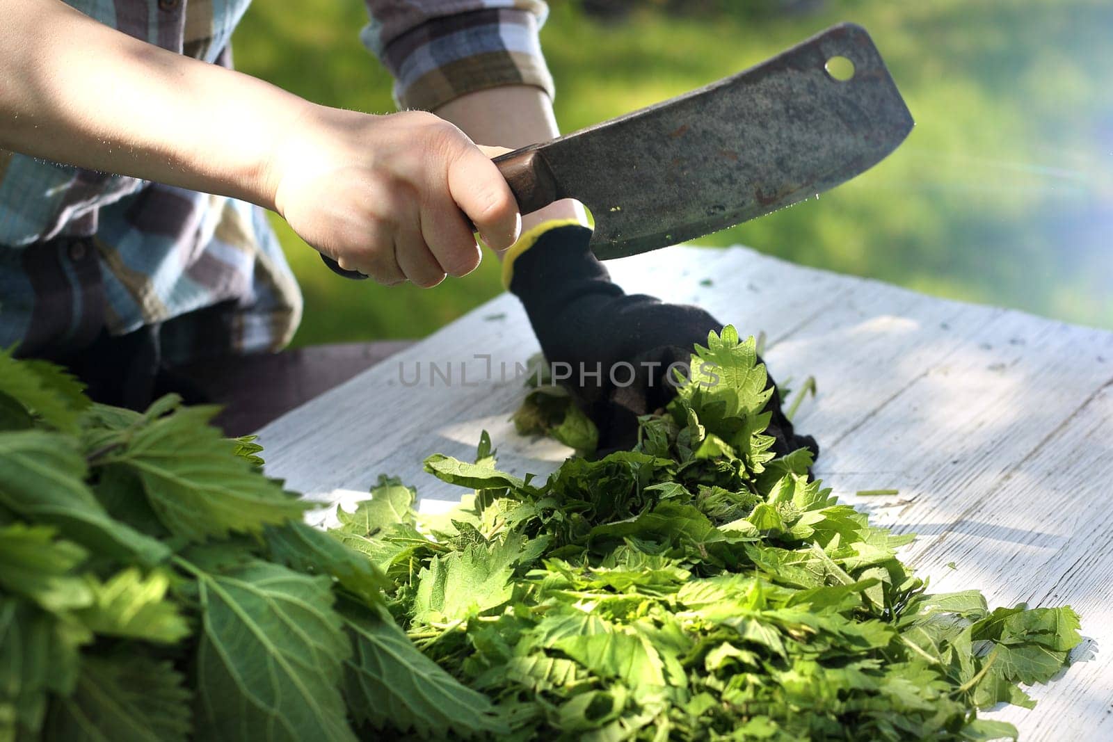 Woman chopping nettle leaves.
