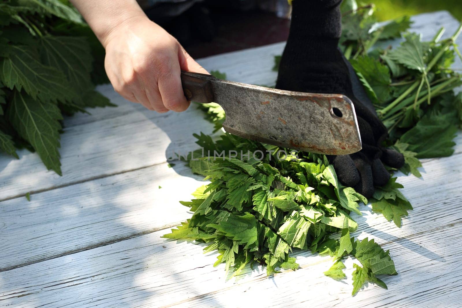 Woman chopping nettle leaves.