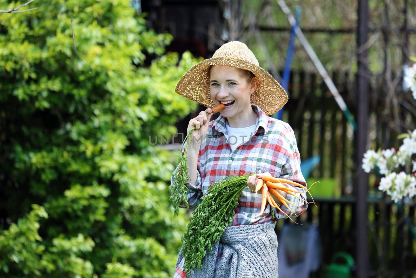Spring vegetables. Female gardener collects vegetables in a vegetable garden.