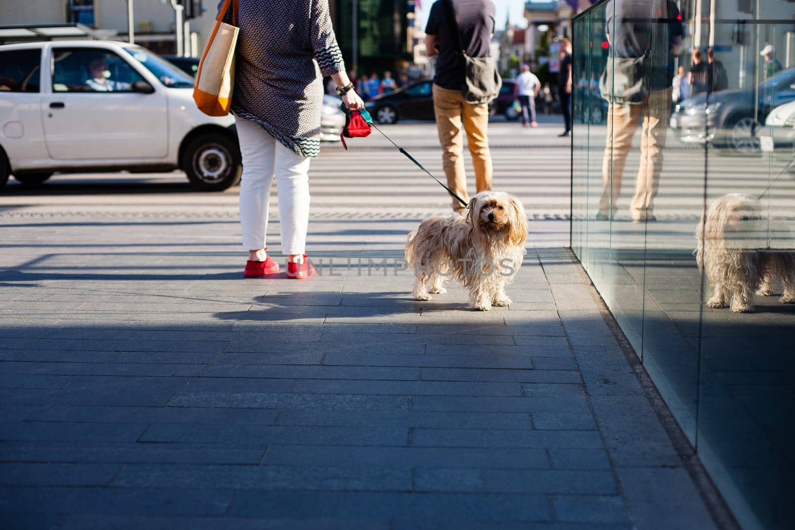 City life in the small Polish city of Wroclaw