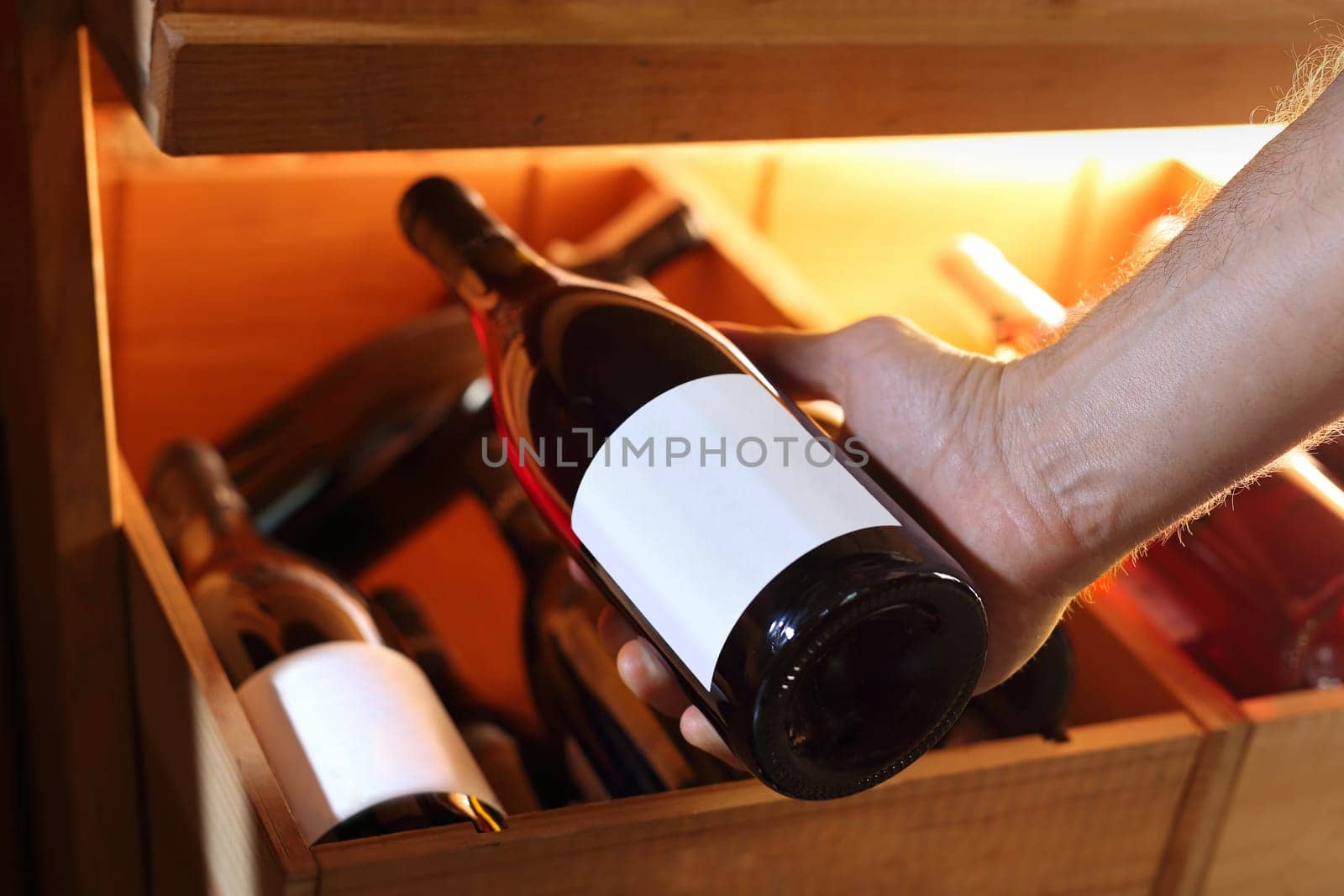 Wine. Man chooses a bottle of wine. Wine cellar