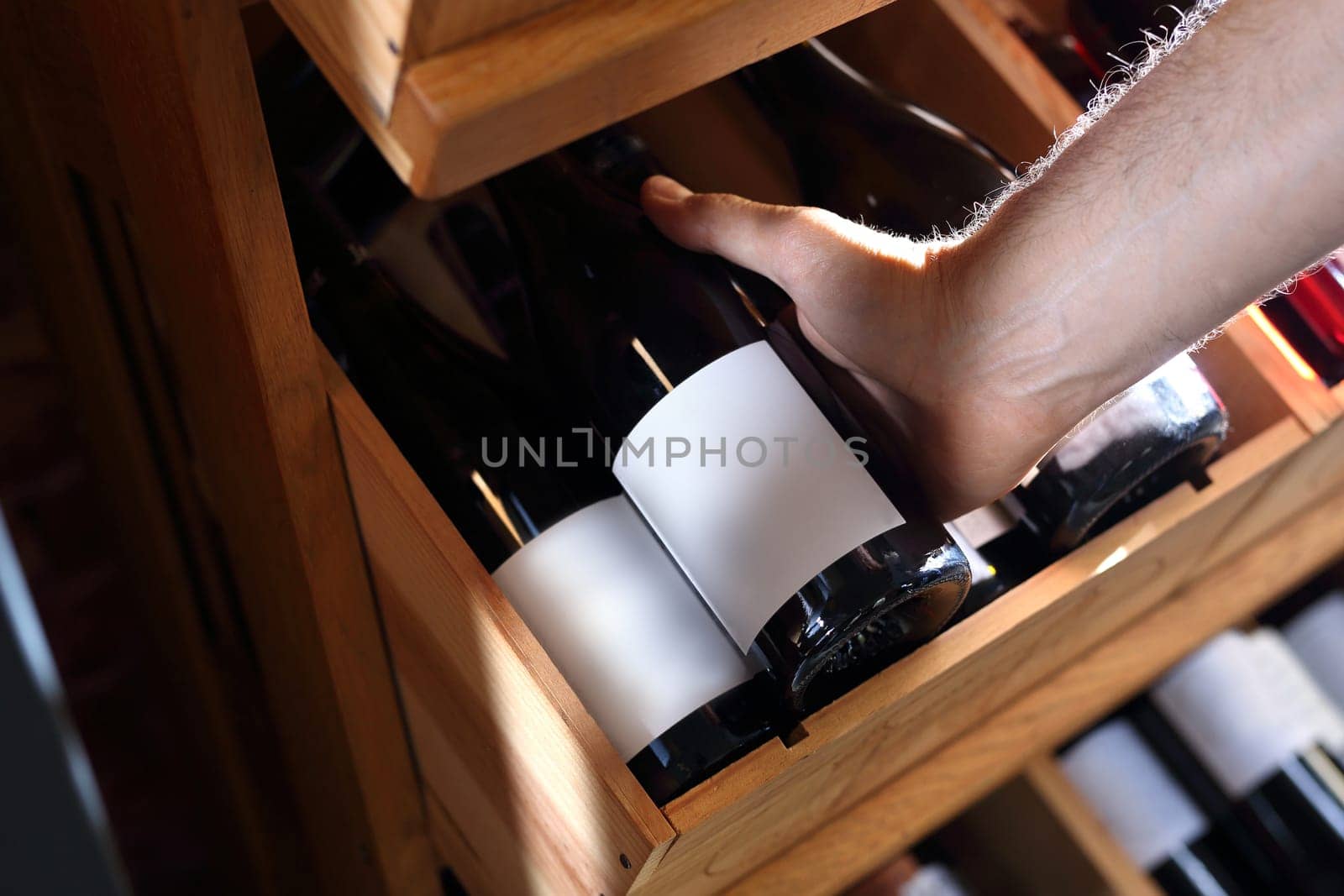 Wine. Man chooses a bottle of wine. Wine cellar