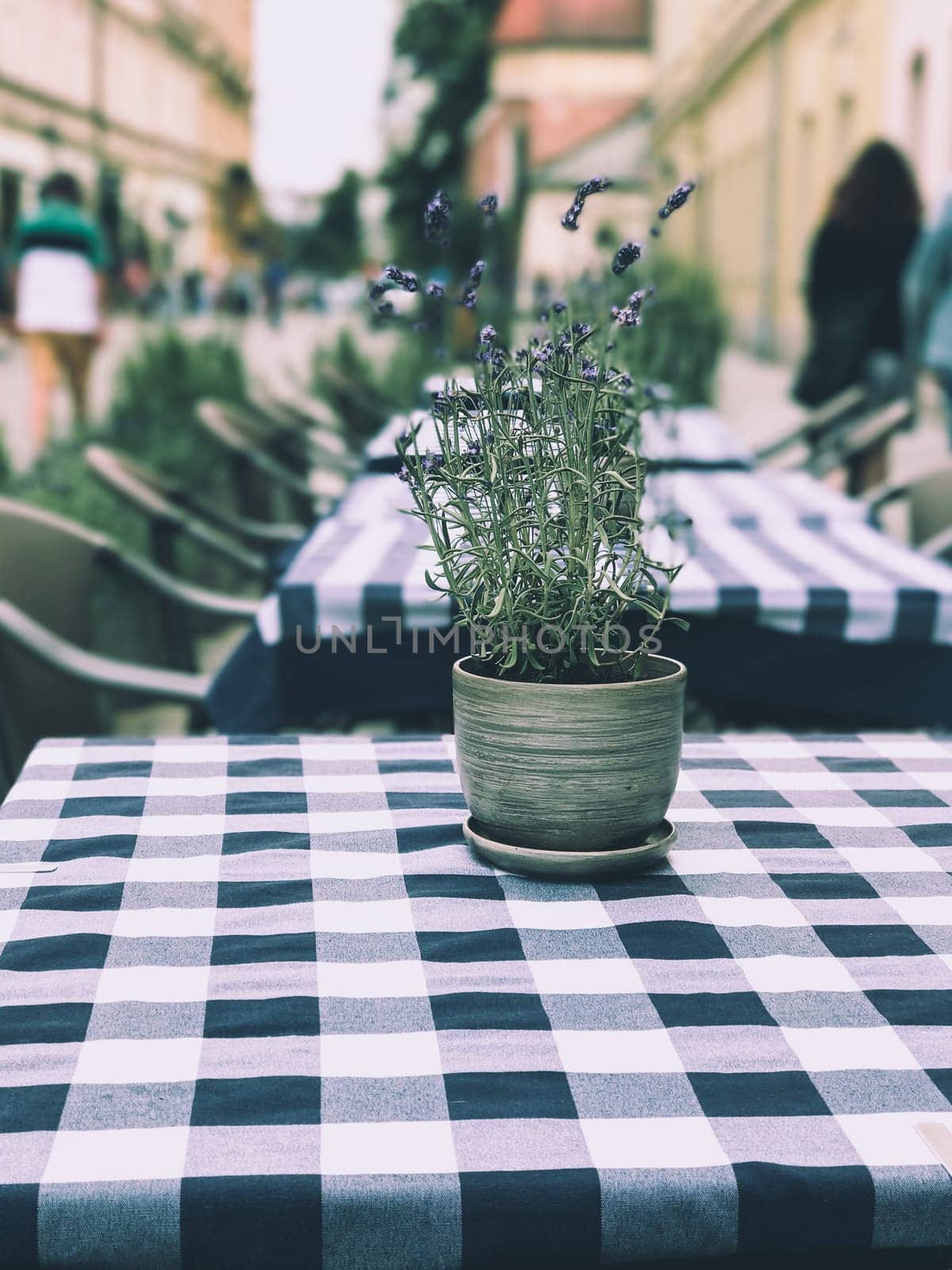 Table with flower pot in a cozy cafe outside