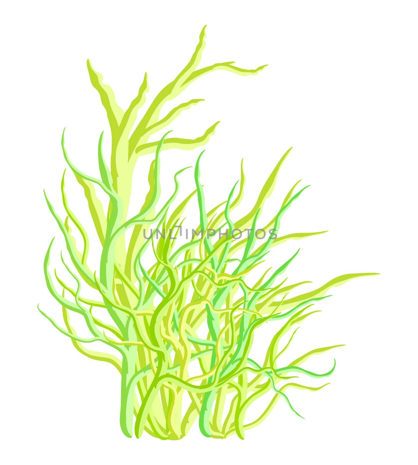 algae vector symbol icon design. Beautiful illustration isolated on white background.