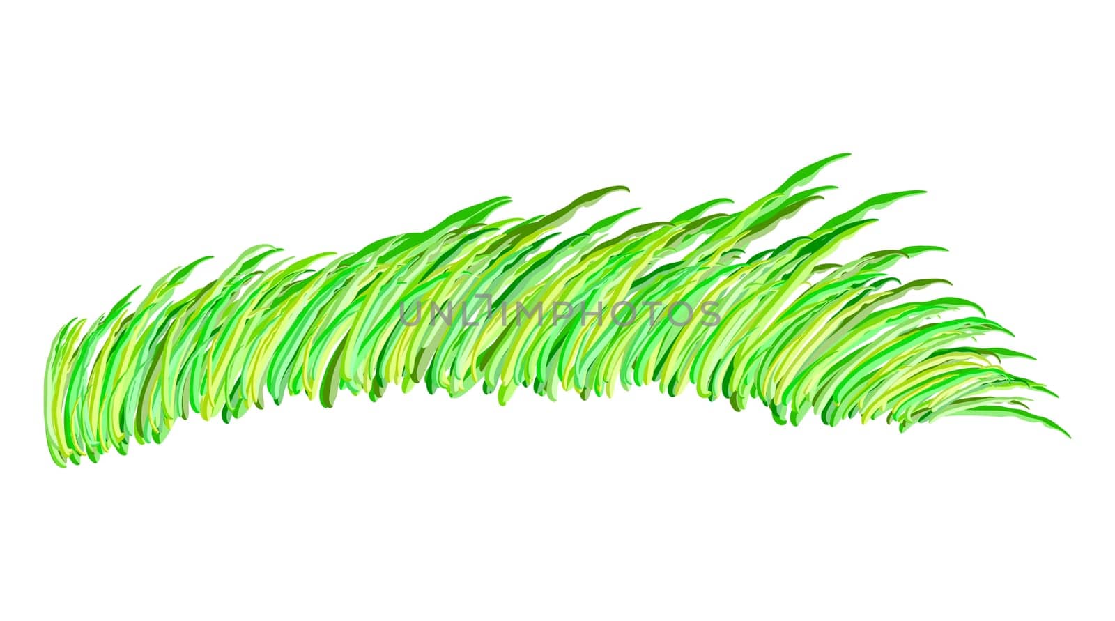 algae vector symbol icon design. Beautiful illustration isolated on white background.