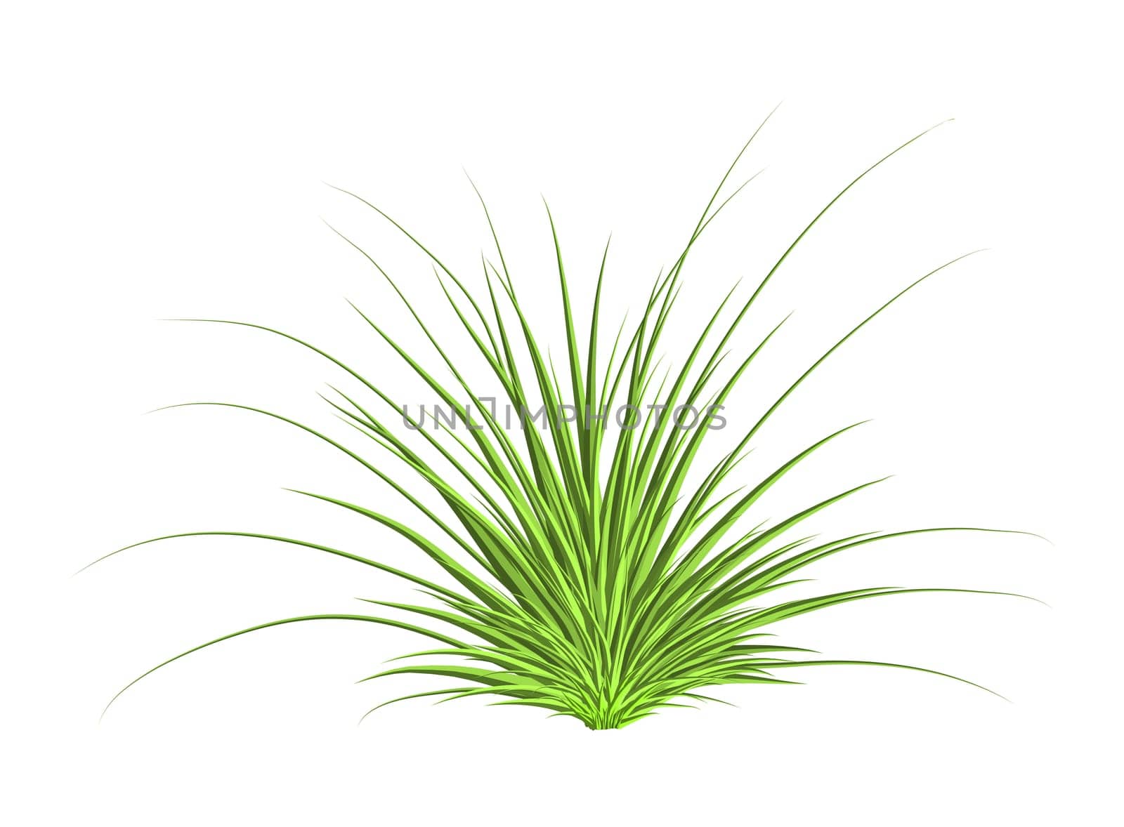 grass vector symbol icon design. Beautiful illustration isolated on white background.