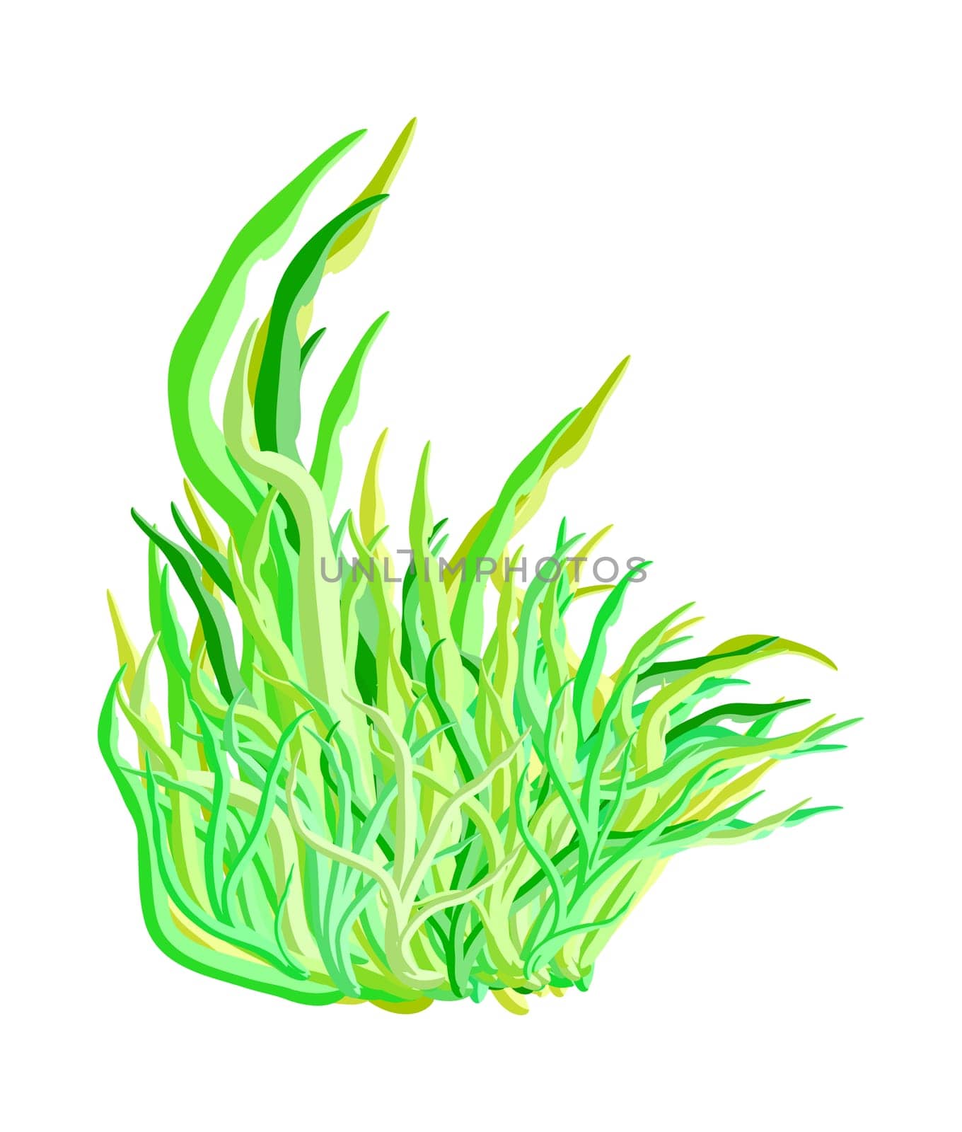 algae vector symbol icon design. Beautiful illustration isolated on white background.