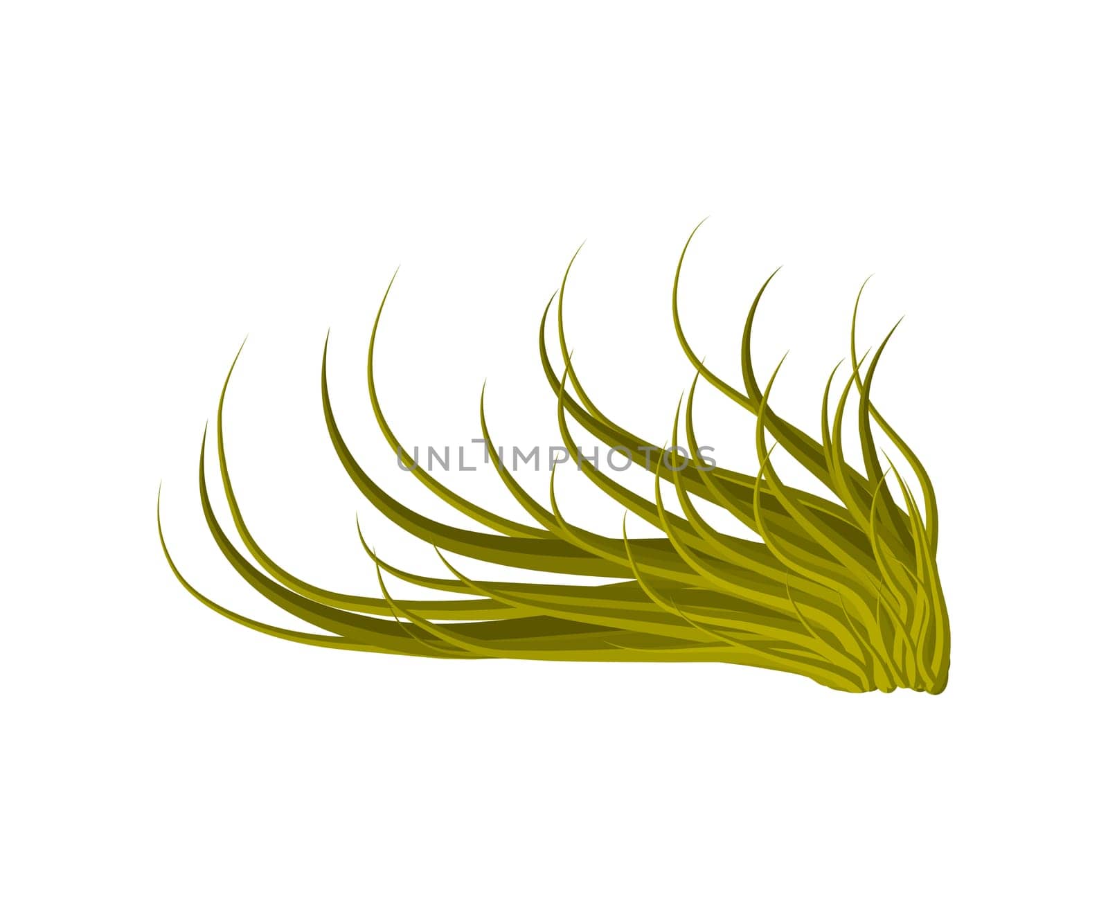 grass vector symbol icon design. Beautiful illustration isolated on white background.