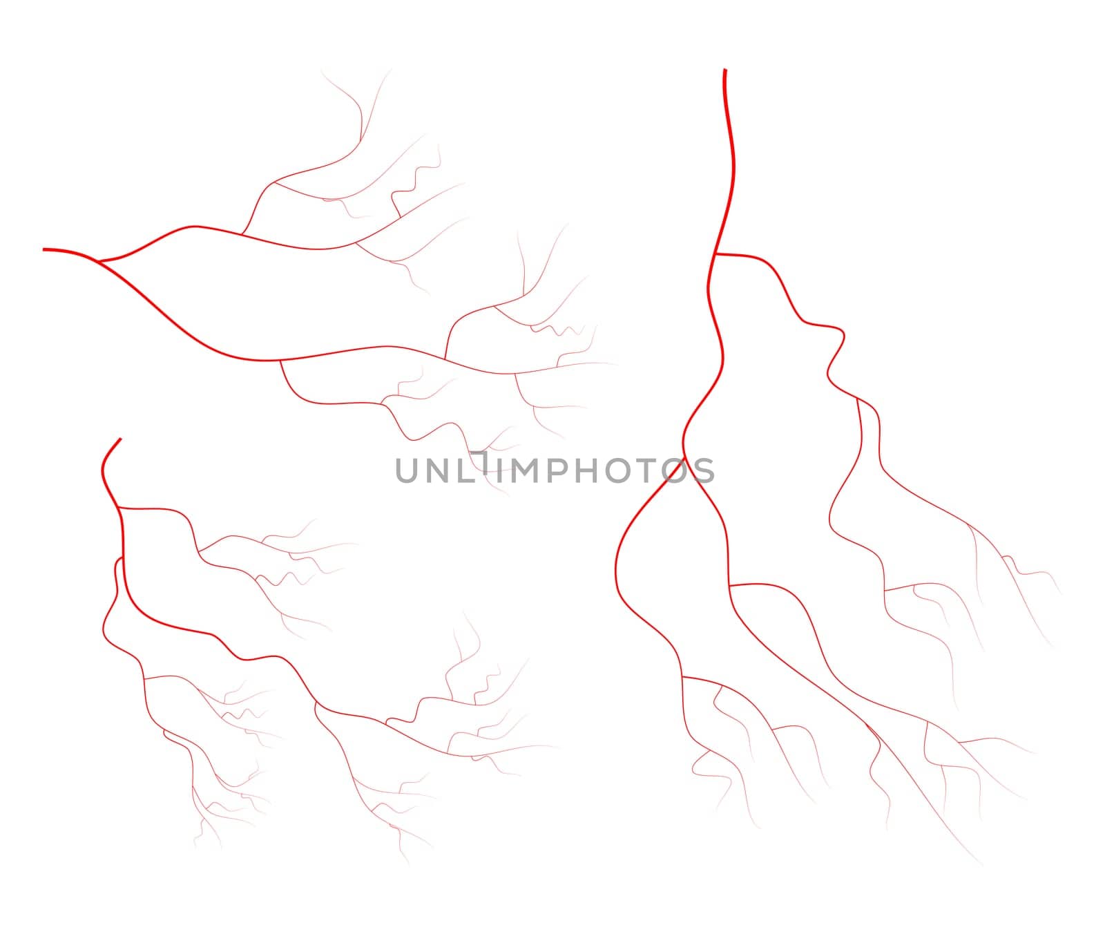 red vein set vector symbol icon design. Beautiful illustration isolated on white background.