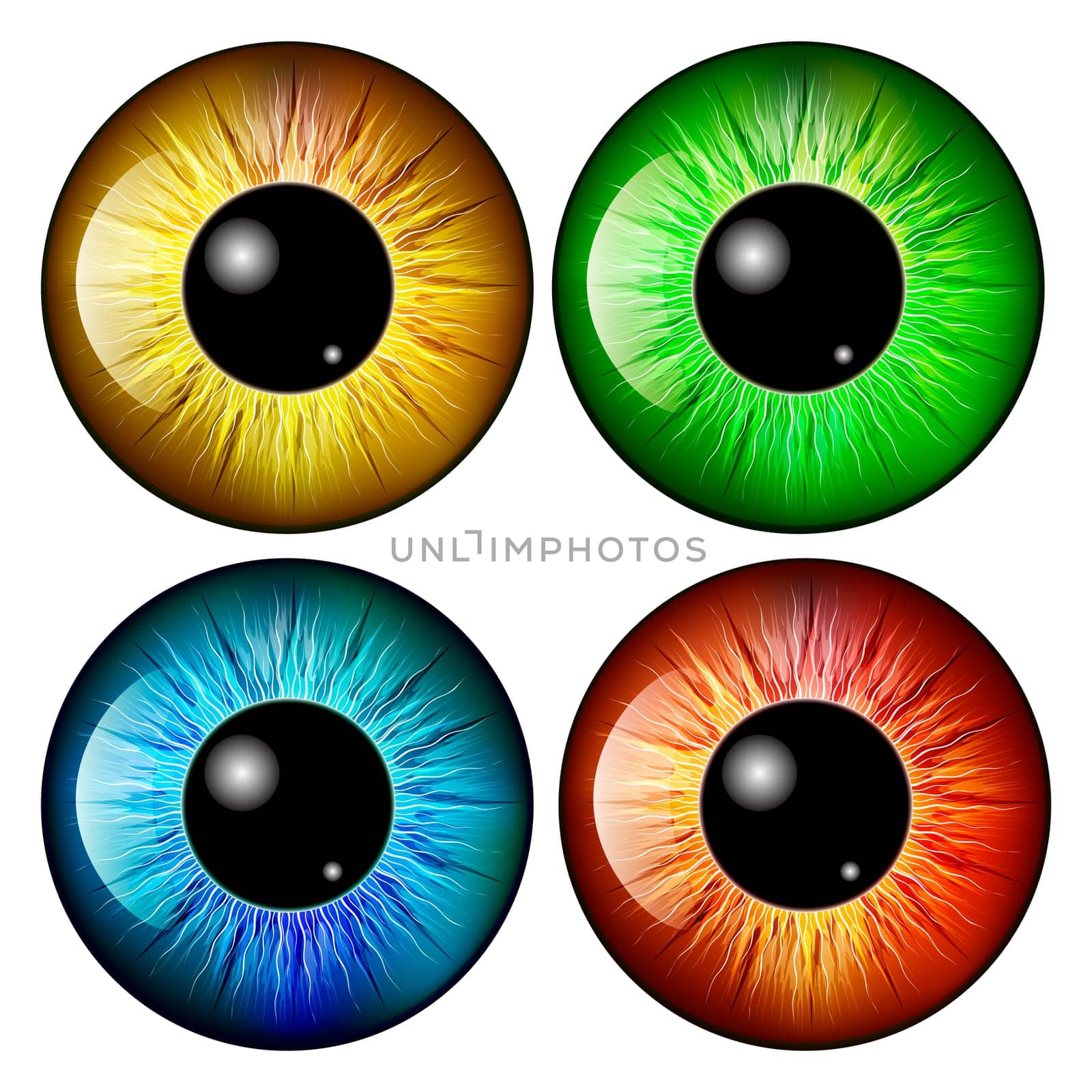 eye, pupil, iris, vector symbol icon design. Beautiful illustration isolated on white background.