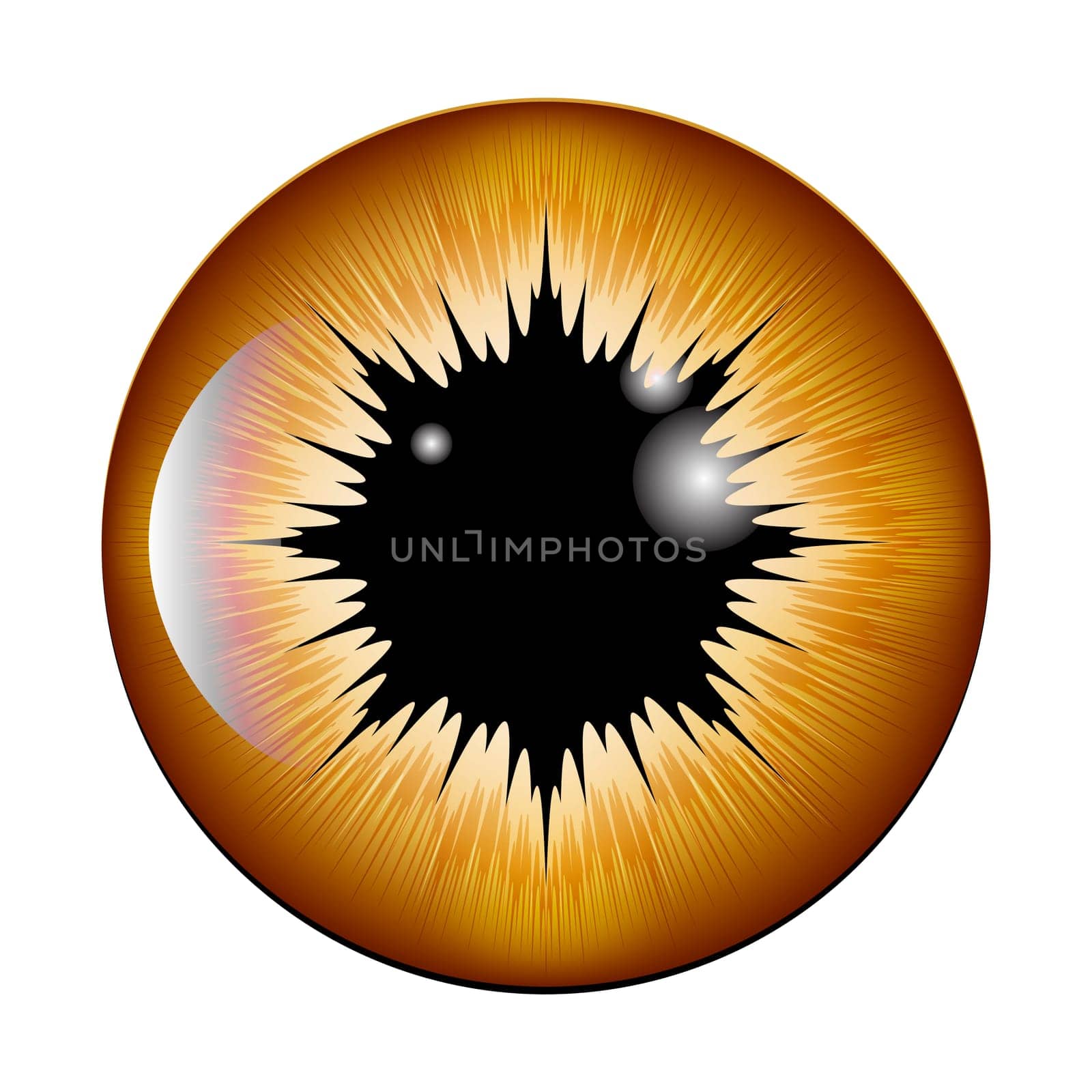 eye, pupil, iris, vector symbol icon design. Beautiful illustration isolated on white background.