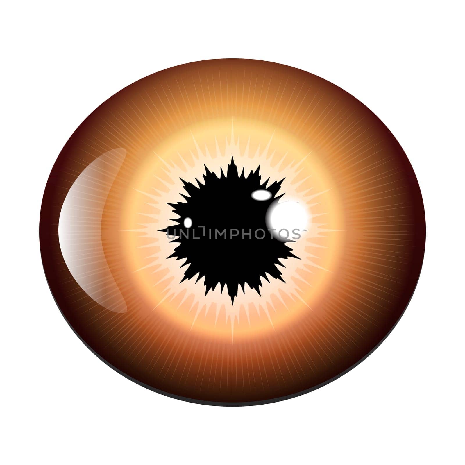 eye, pupil, iris, vector symbol icon design. Beautiful illustration isolated on white background.