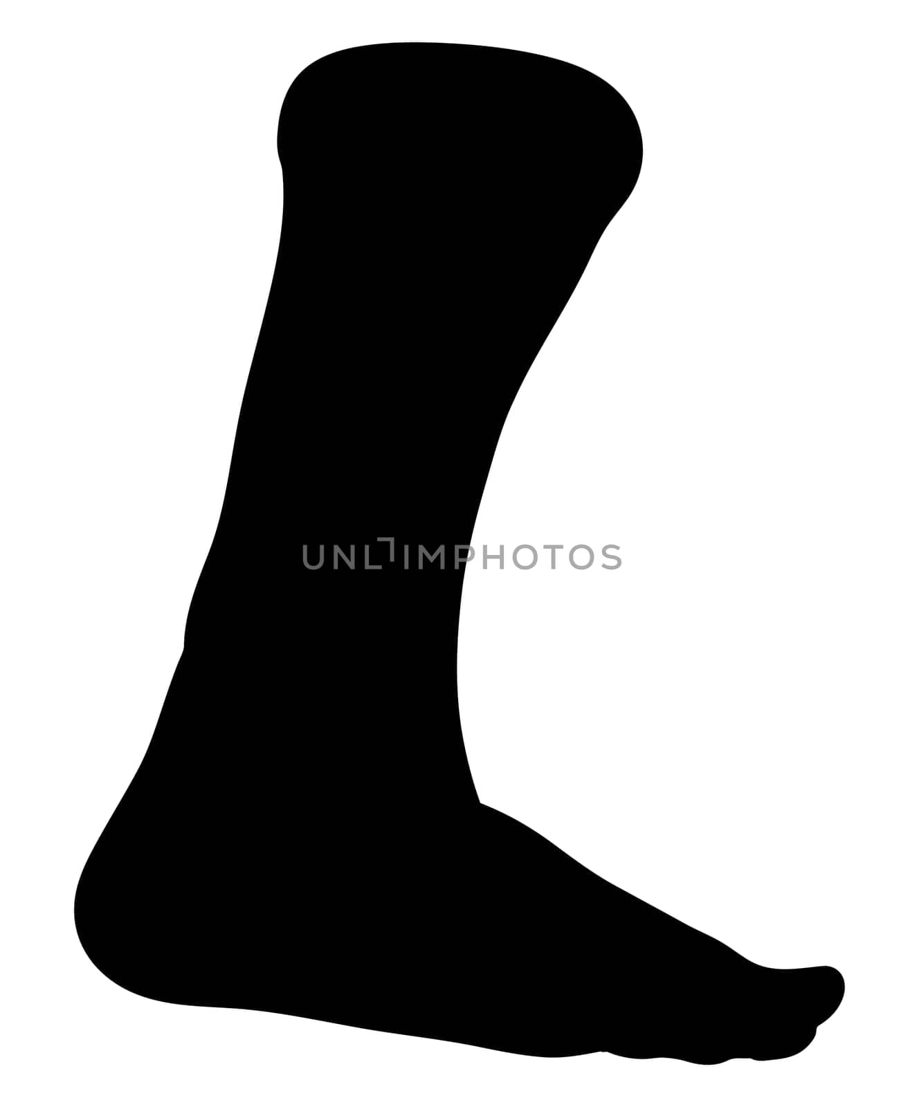 bare foot silhouette vector symbol icon design. Beautiful illustration isolated on white background.