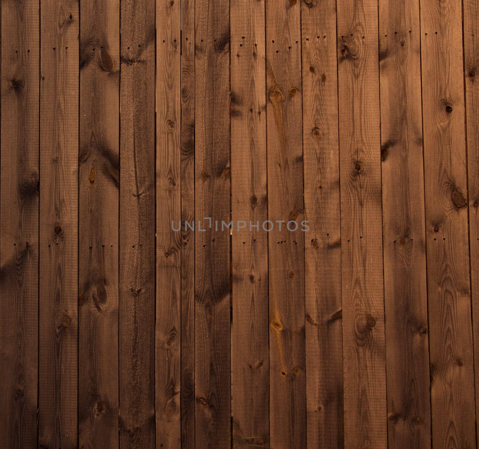 wood texture background photo