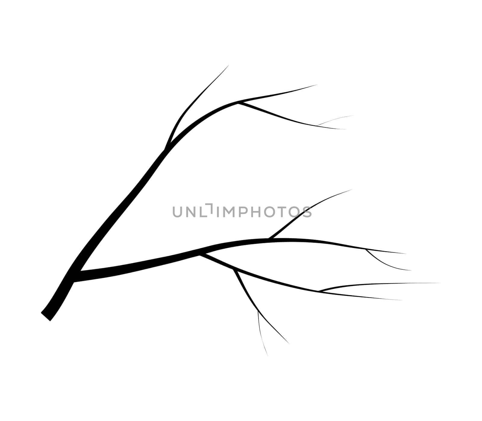 bare branch tree silhouette vector symbol icon design. Beautiful illustration isolated on white background.
