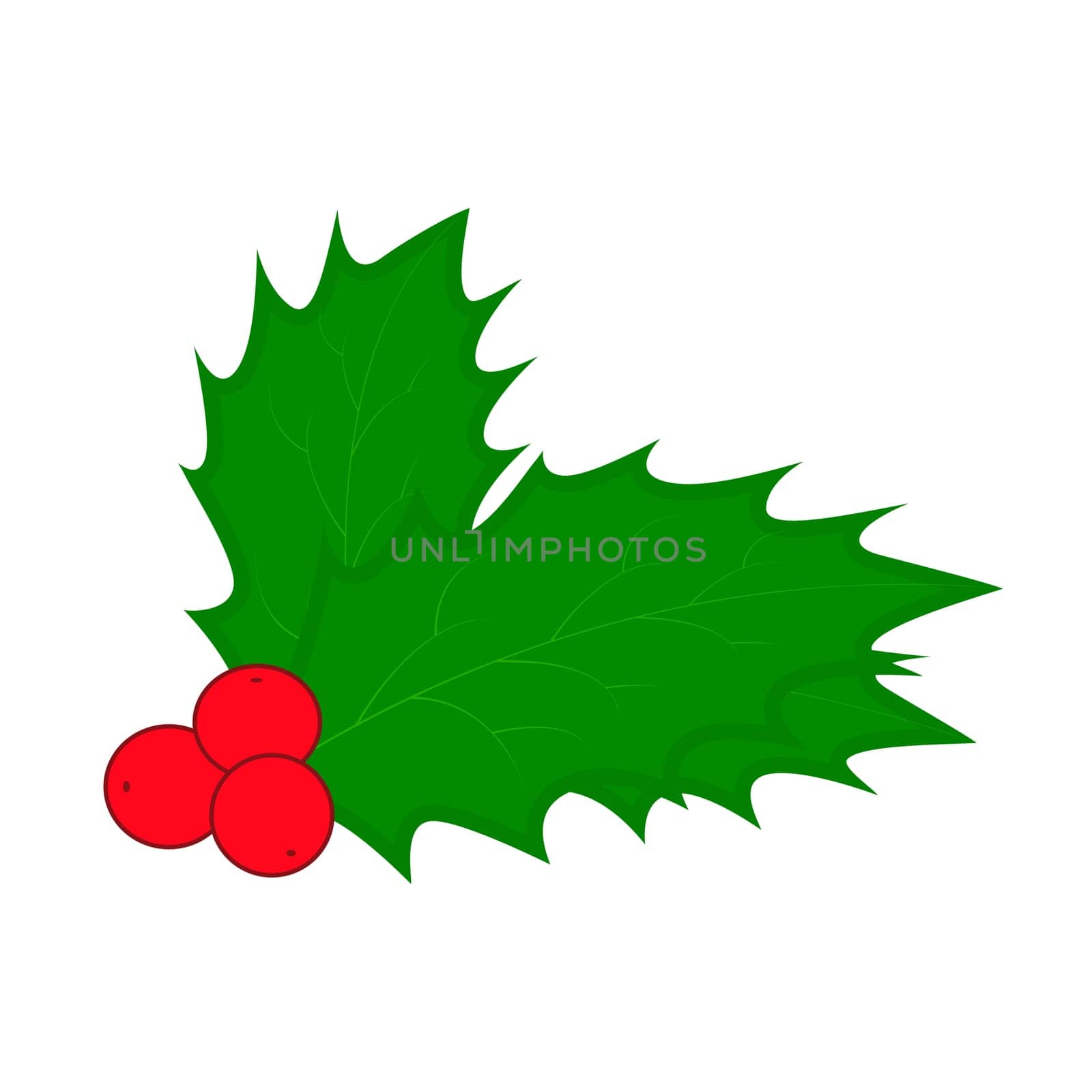 Holly berry, Christmas leaves and fruits icon, symbol, design. Winter vector illustration isolated on white background.