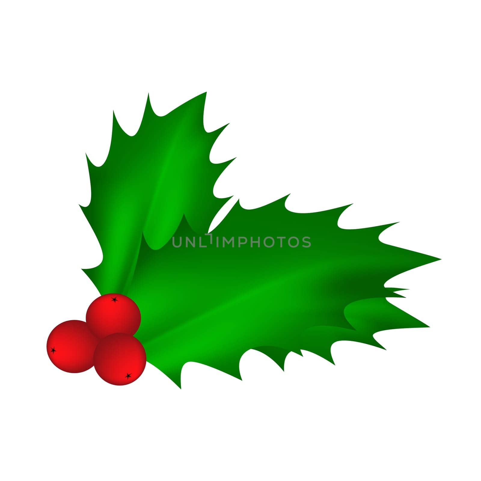 Holly berry, Christmas leaves and fruits icon, symbol, design. Winter vector illustration isolated on white background.