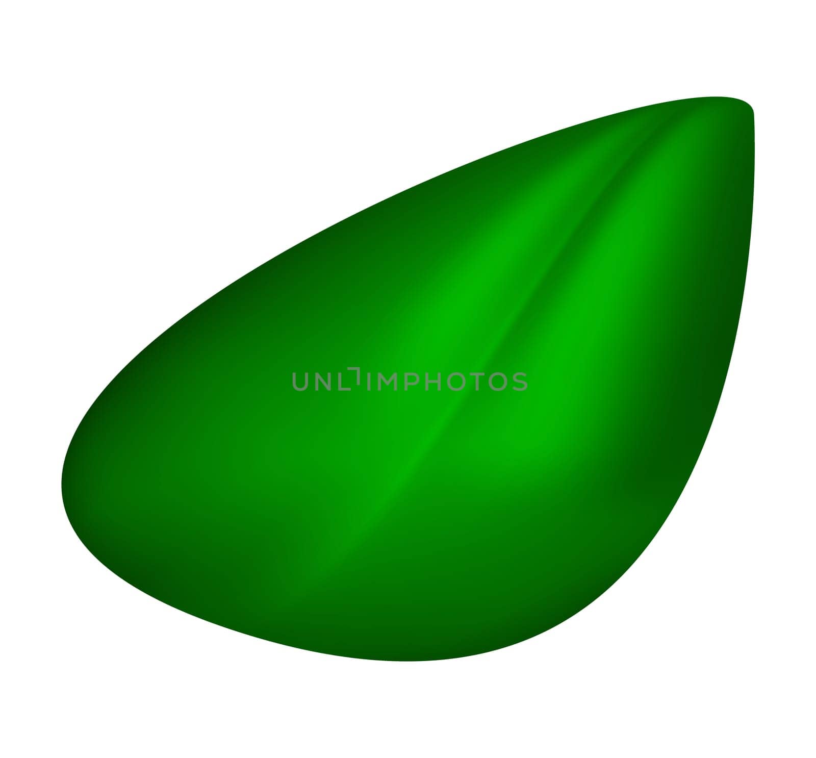 Leaf vector illustration icon, symbol, design. Cartoon green tree element isolated on white background