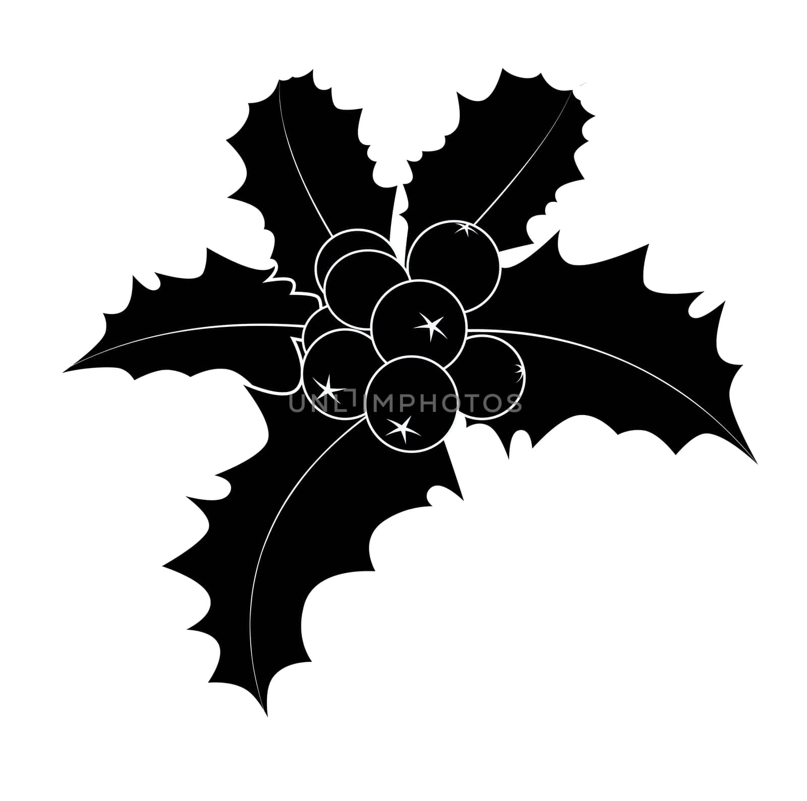 Holly berry silhouette, Christmas leaves and fruits icon, symbol, design. Winter vector illustration isolated on white background.