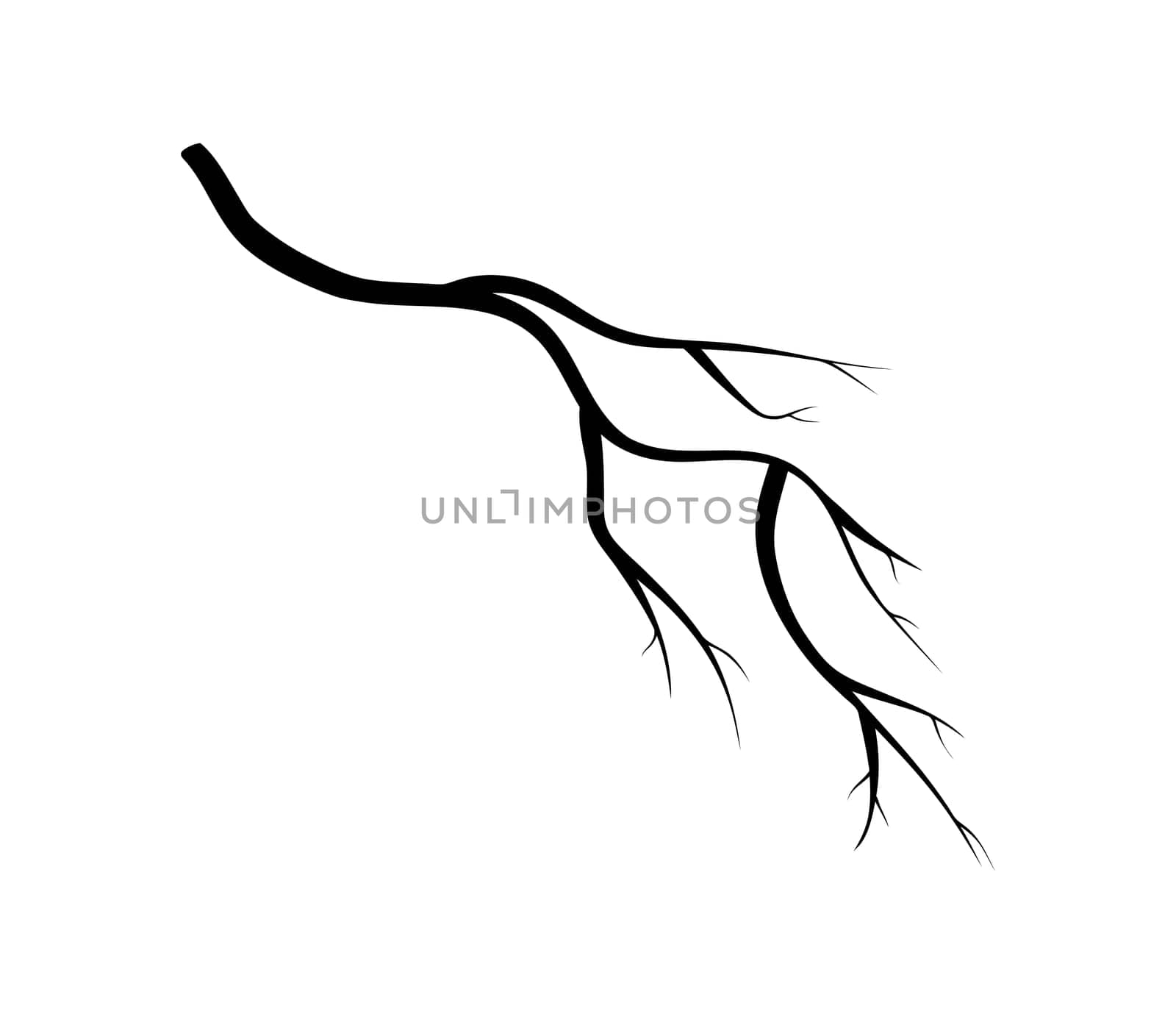 branch silhouette icon, symbol, design. vector illustration isolated on white background.