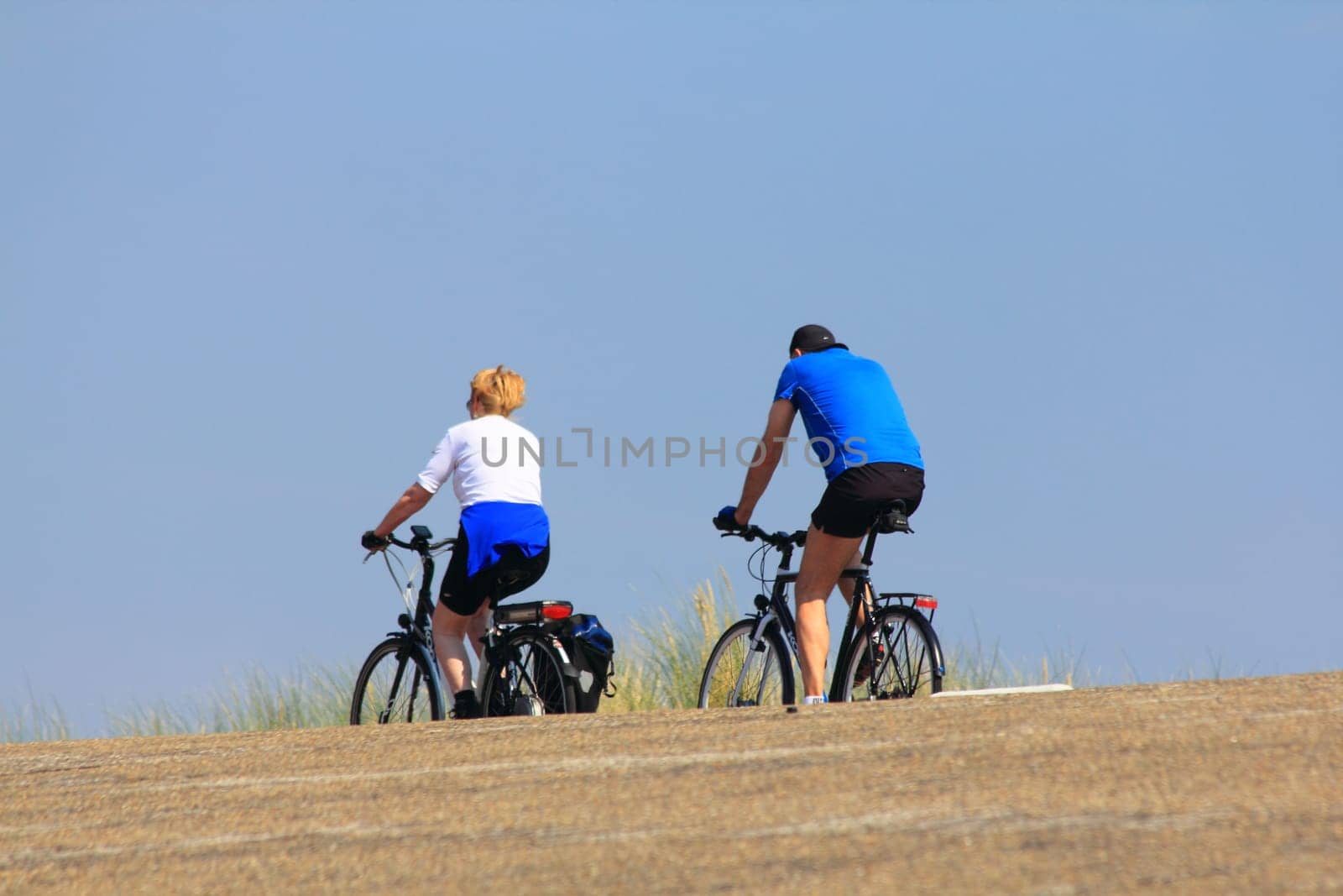Netherlands 22 August 2015: Some cyclists on a trip into nature