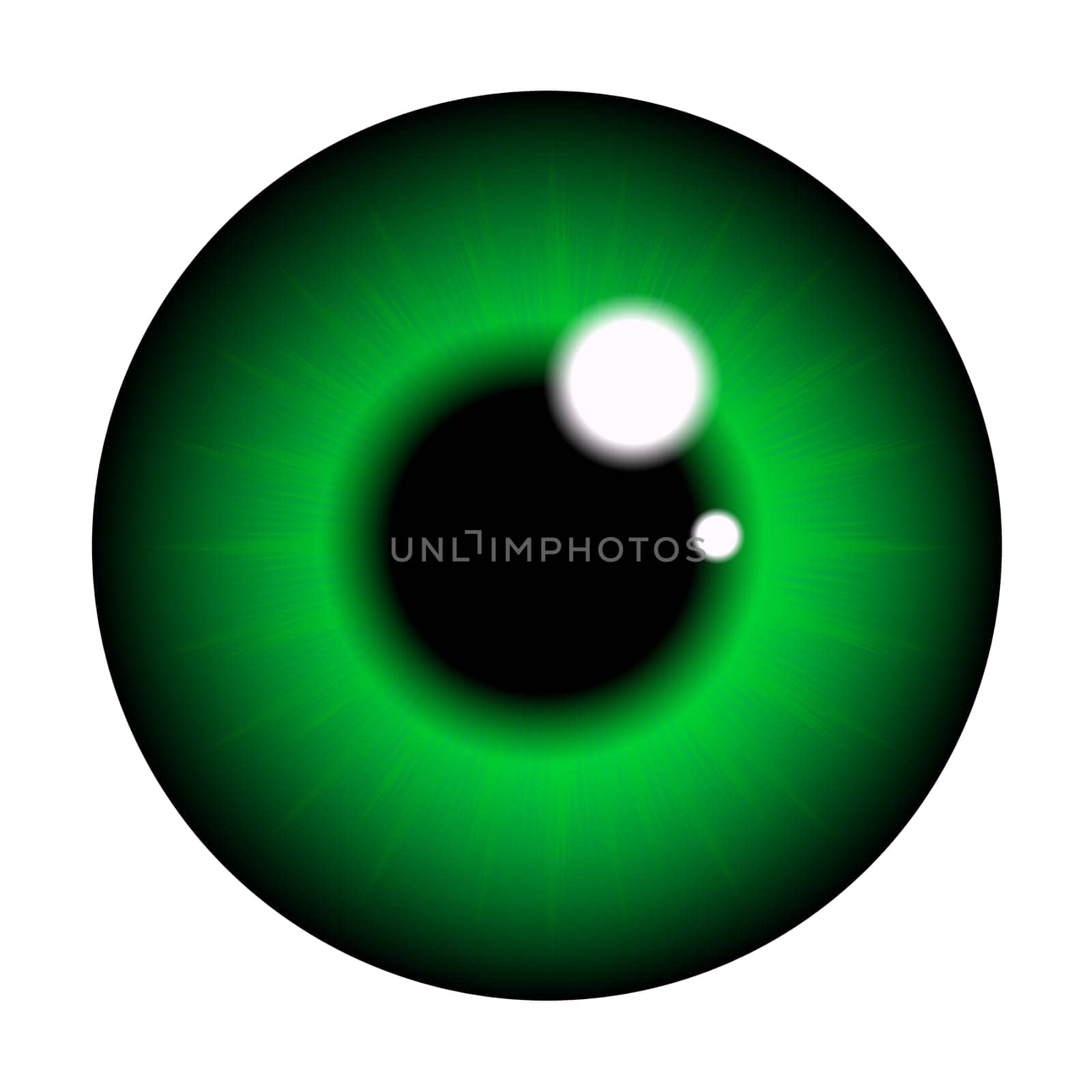 The pupil of the eye, eye ball. Realistic vector illustration isolated on white background.