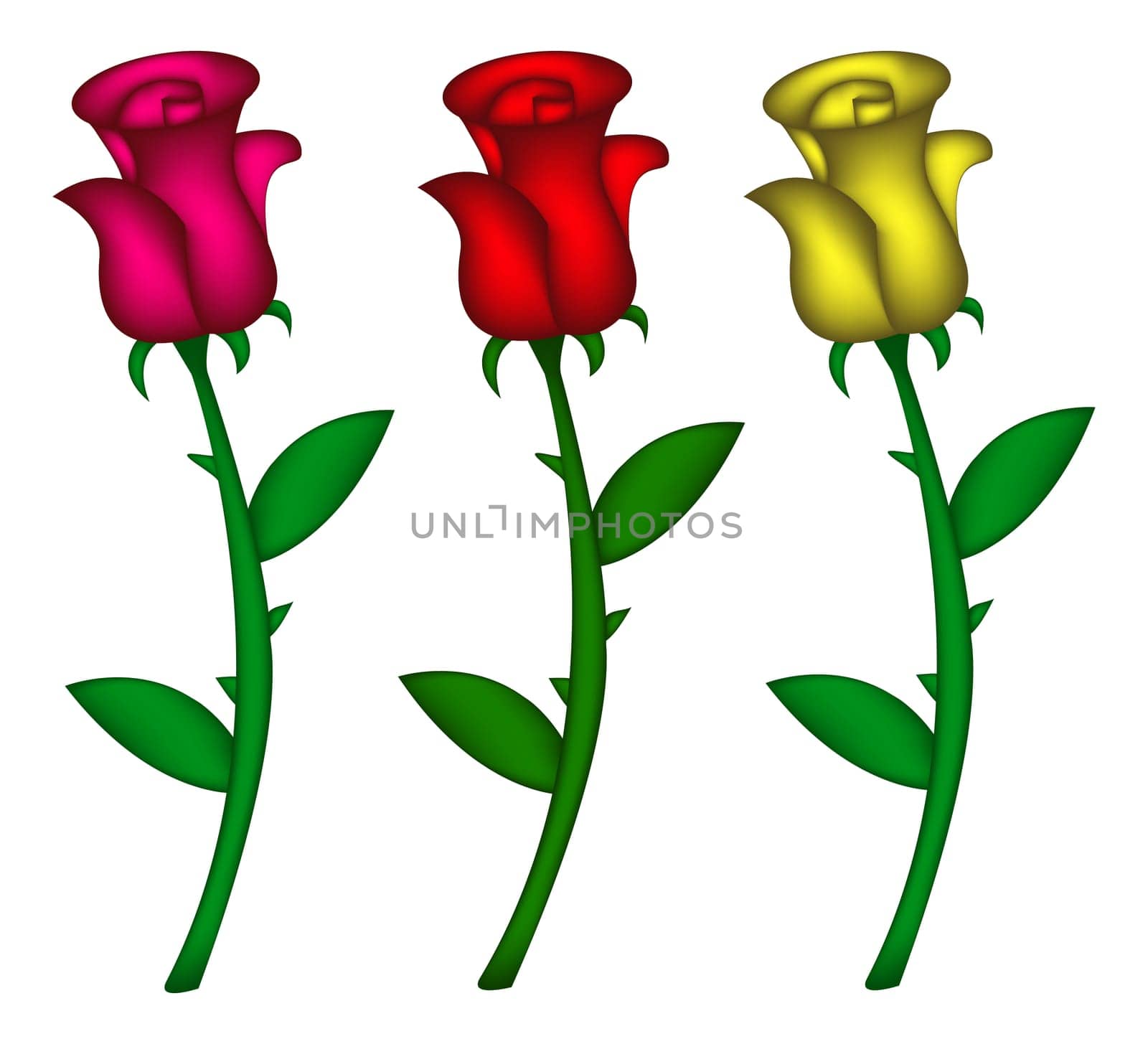 Set of realistic roses. Vector illustration isolated on white background. Created with mesh tool.