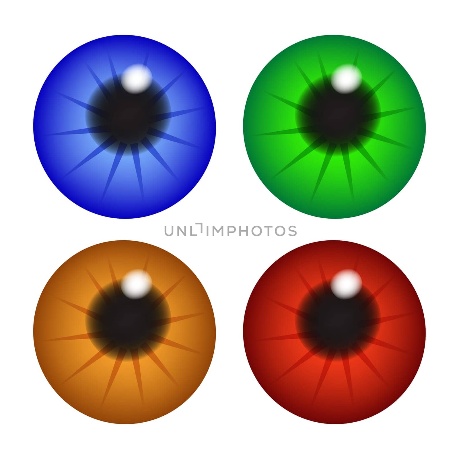 Iris eye, pupil, eyeball . Set of realistic vector illustration isolated on white background.