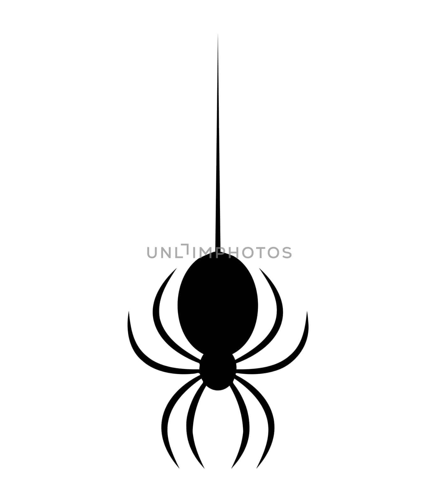 Spider halloween icon, symbol Silhouette. Vector illustration on white background