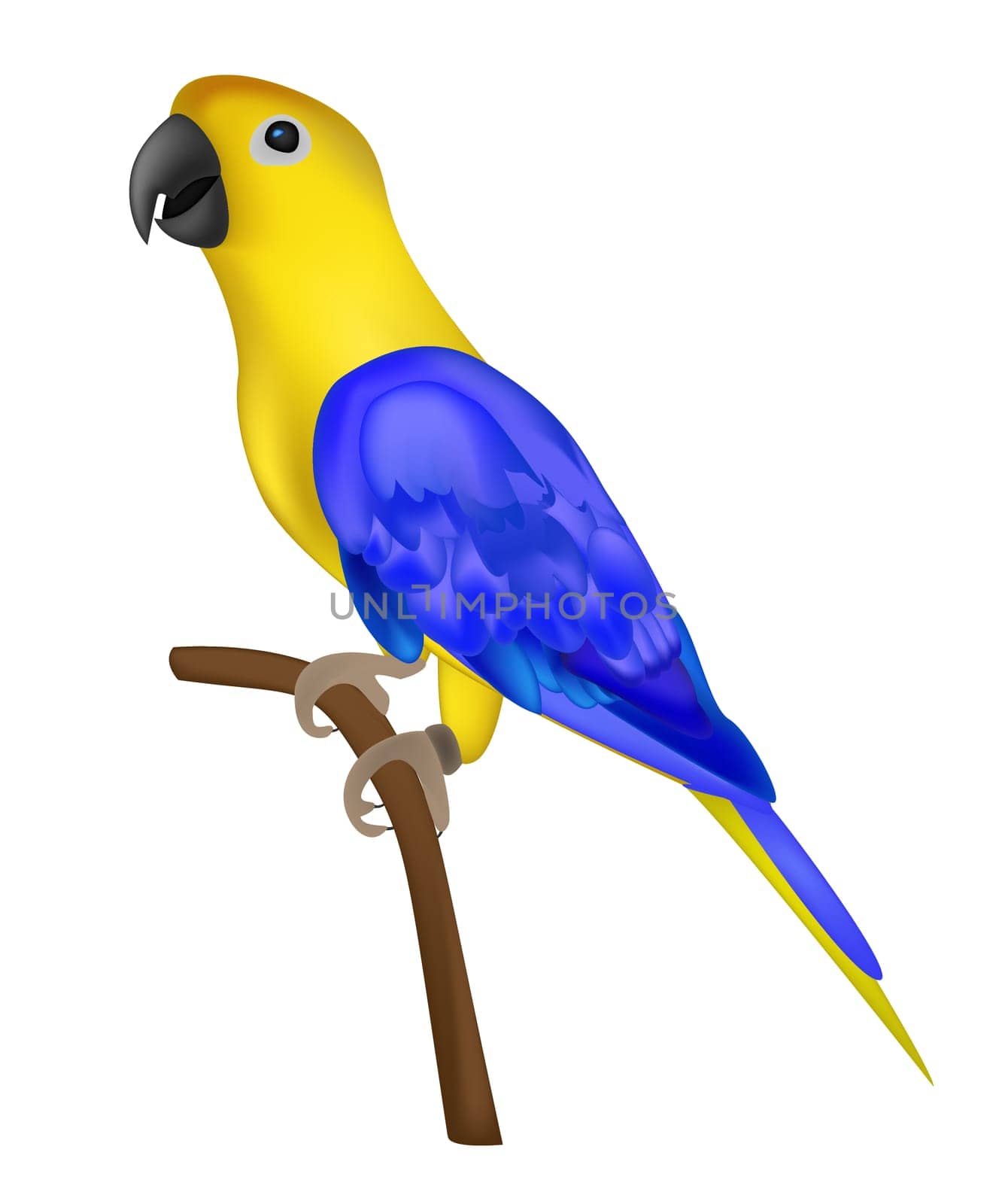 Beautiful colorful parrot isolated on white background- vector illustration