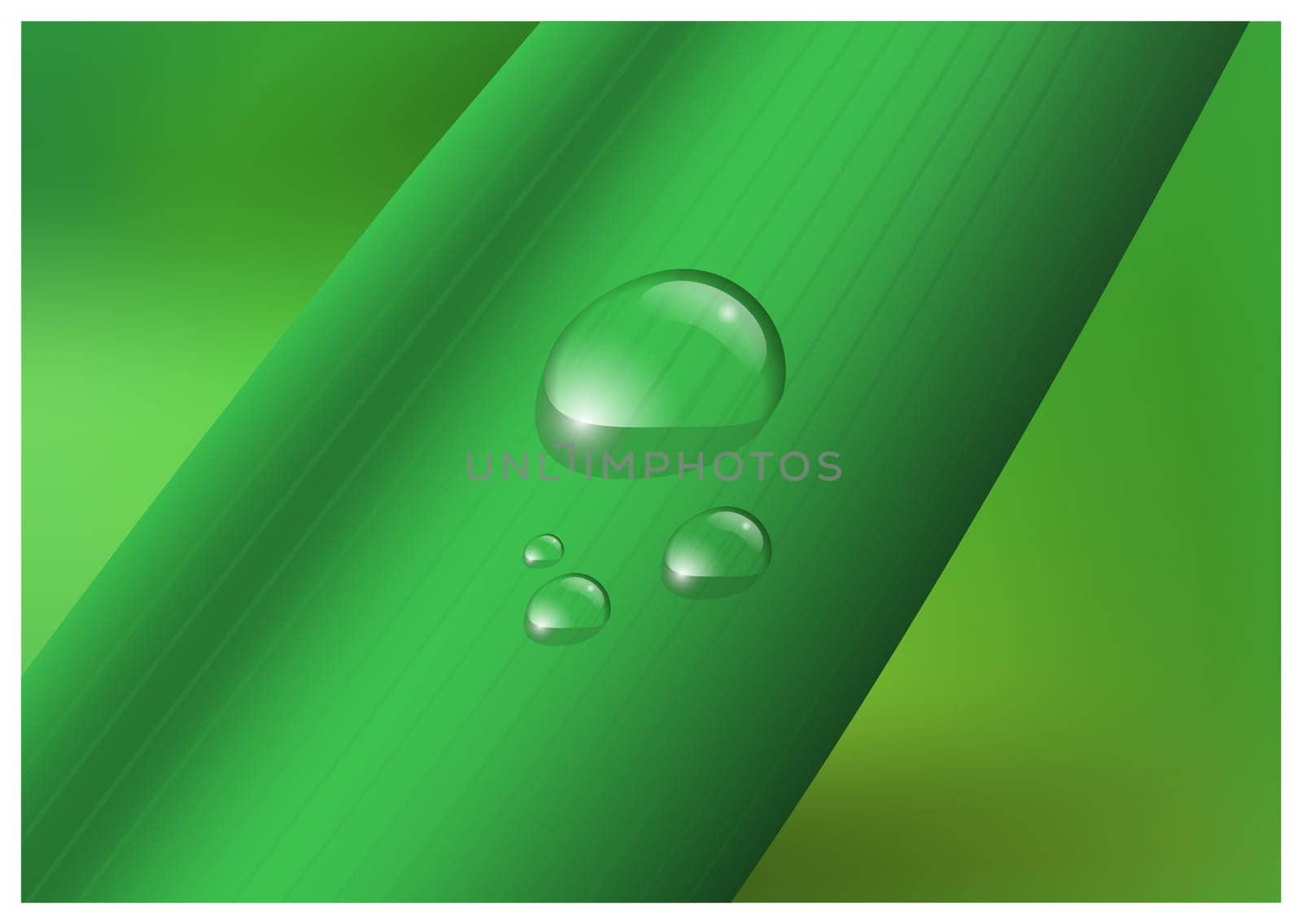 Water drop, droplets on leaf vector illustration