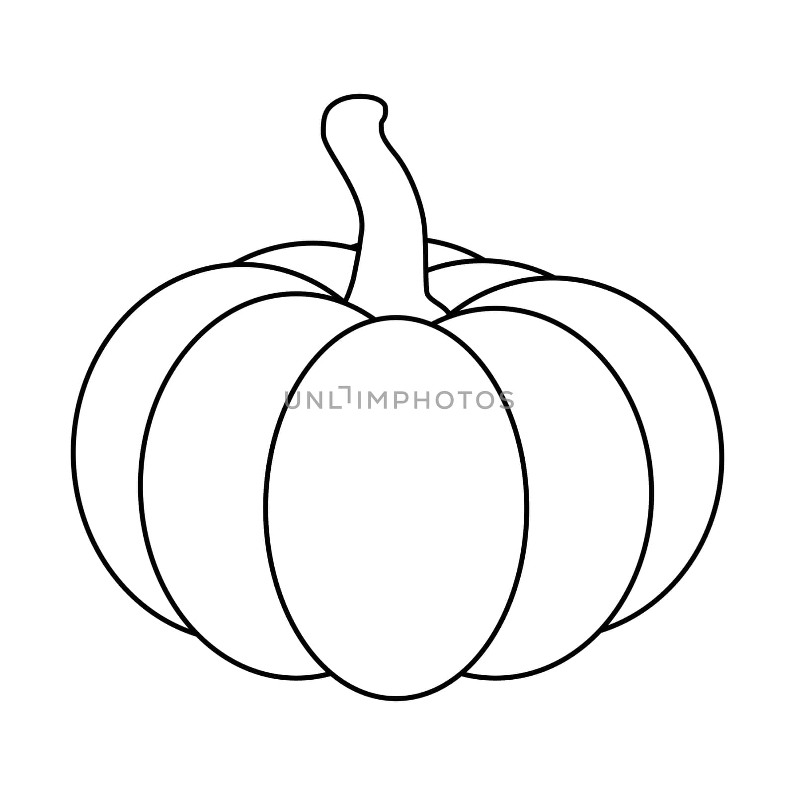 Halloween pumpkin outline, contour vector illustration isolated on white background.