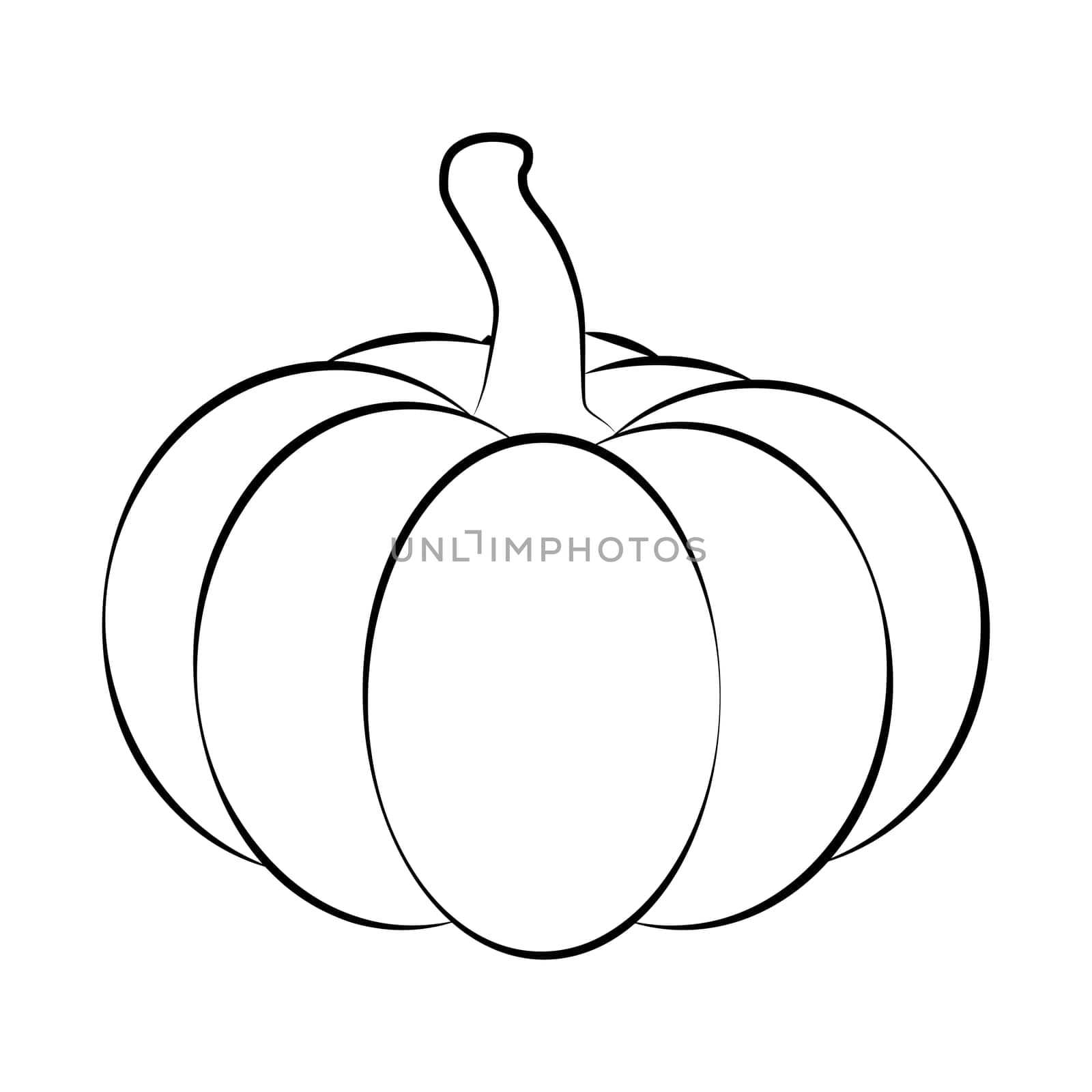 Halloween pumpkin outline, contour vector illustration isolated on white background.