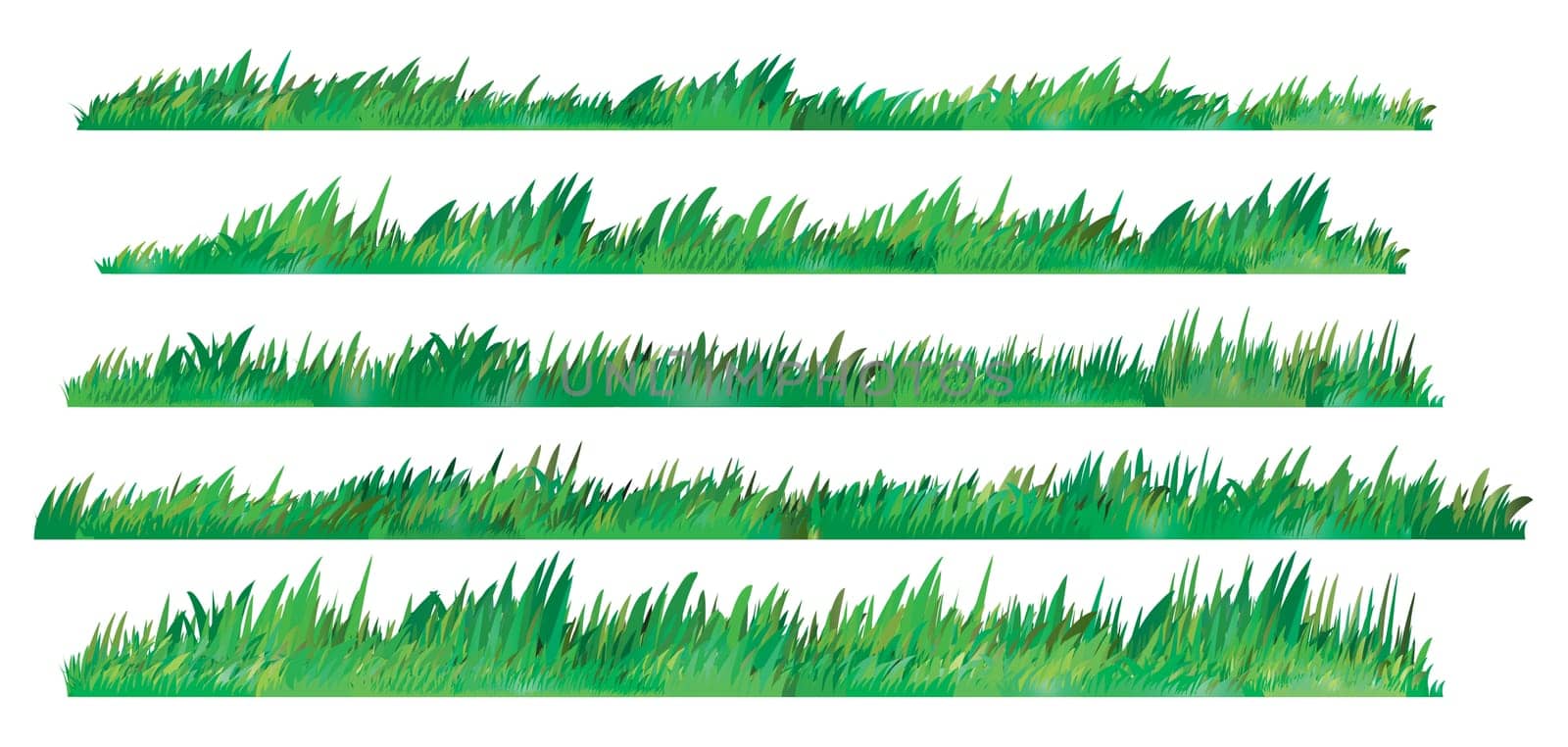 Green Grass Set, Isolated On White Background, Vector Illustration