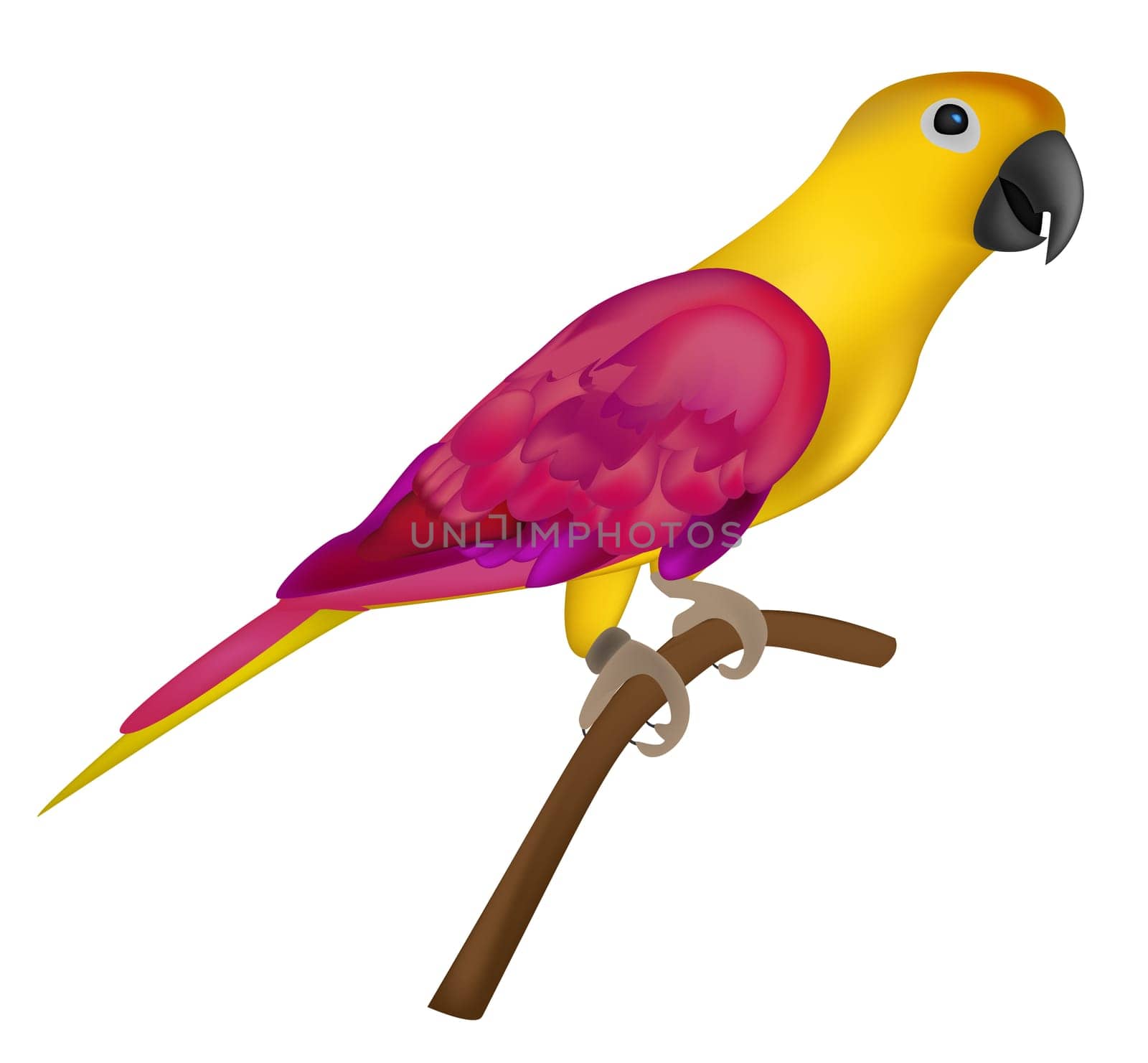 Beautiful colorful parrot isolated on white background- vector illustration