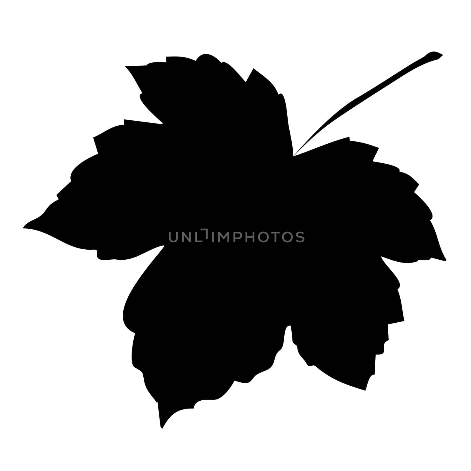 Image of silhouette maple leaf . Vector illustration isolated on white background.