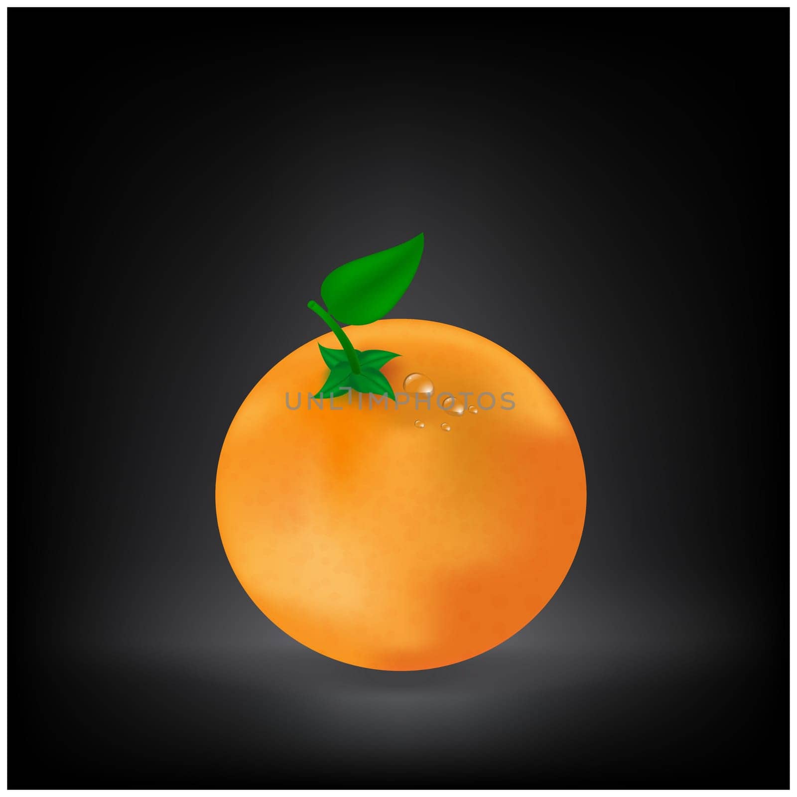 Realistic vector illustration of orange fruit with green leaves. On dark  background