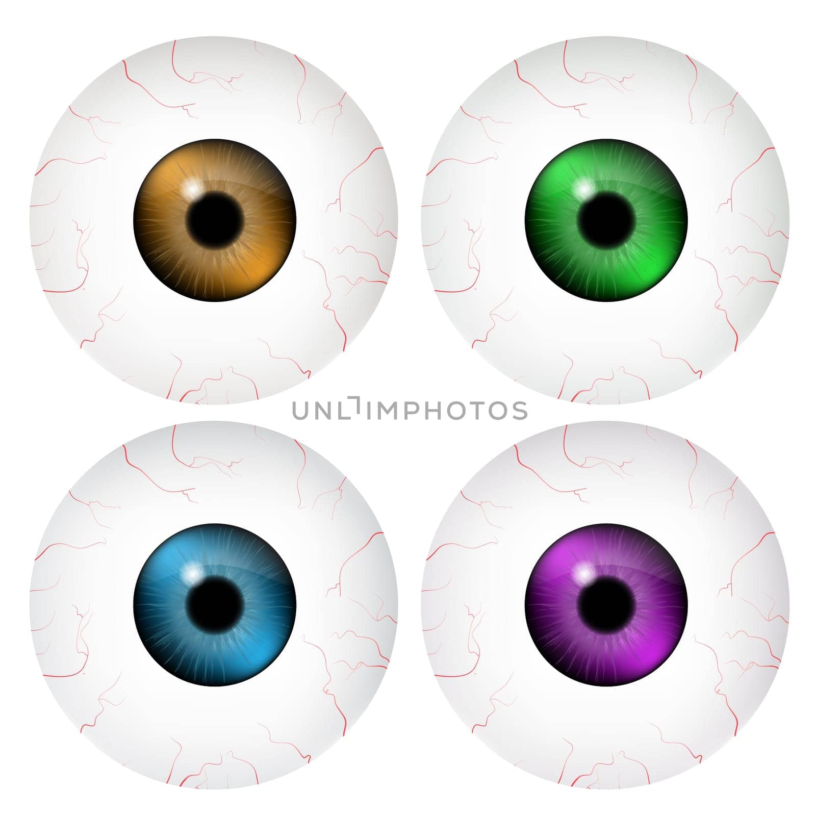 Image of realistic human eye ball with colorful pupil, iris. Vector illustration isolated on white background.