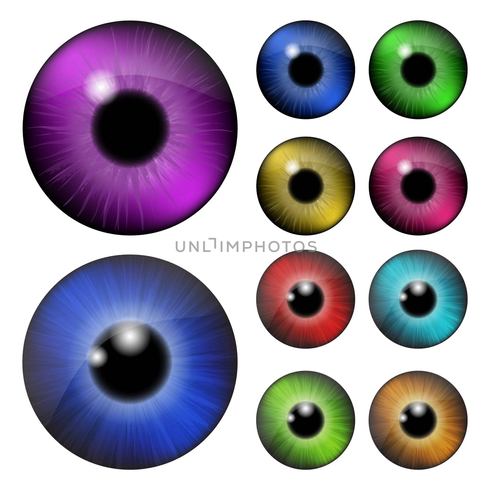 Set of  pupil of the eye, eye ball, iris eye. Realistic vector illustration isolated on white background.