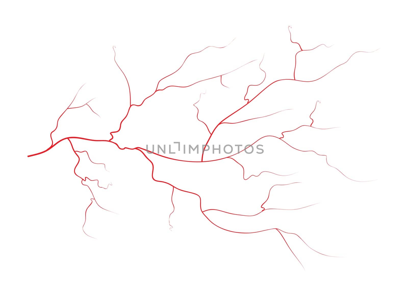 Set of human eye veins, red blood vessels, blood system.  Vector illustration isolated on white background
