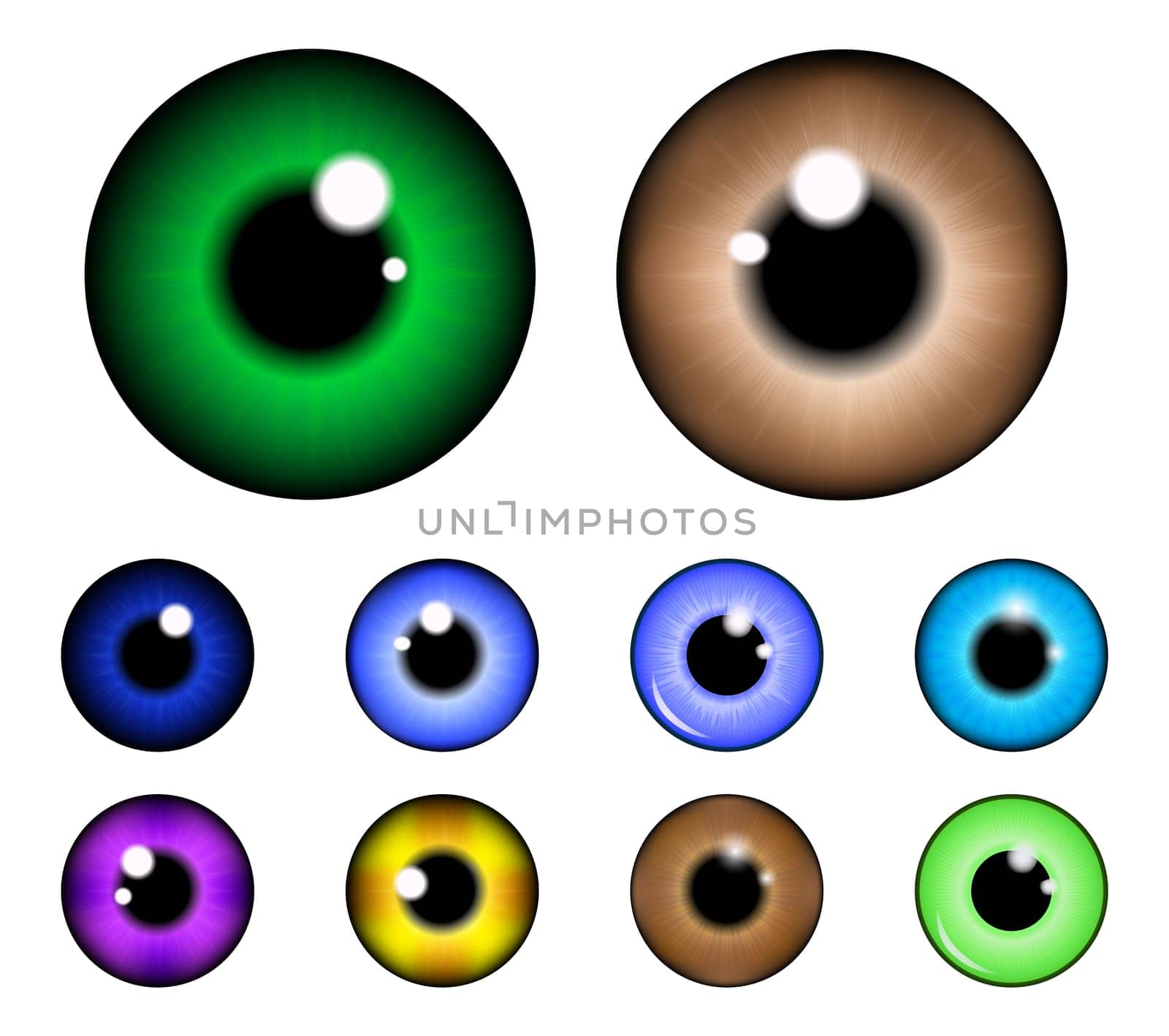Set of  pupil of the eye, eye ball, iris eye. Realistic vector illustration isolated on white background.