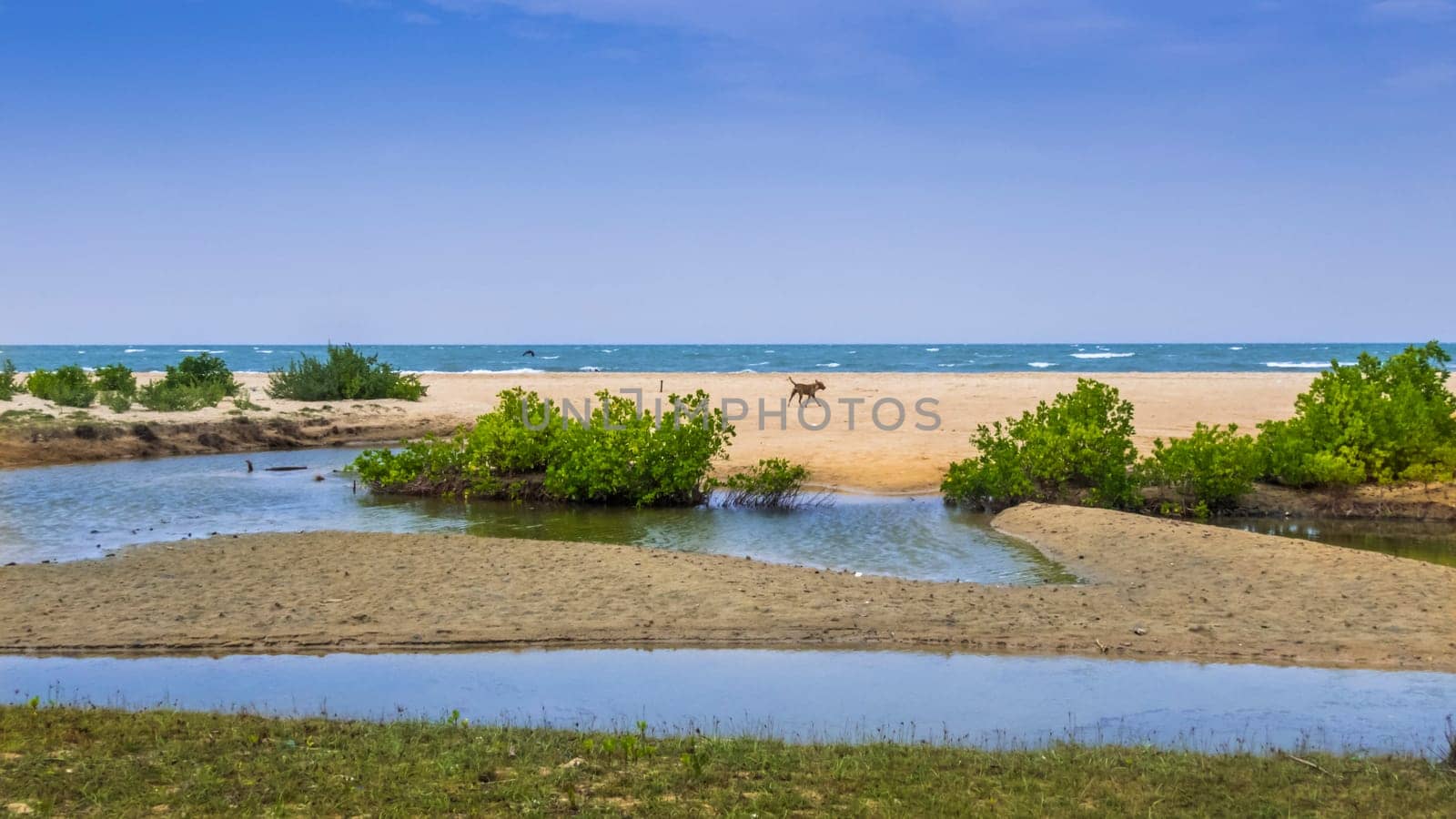 amazing view on the lagoon in Kalpitiya Beach, Sri Lanka